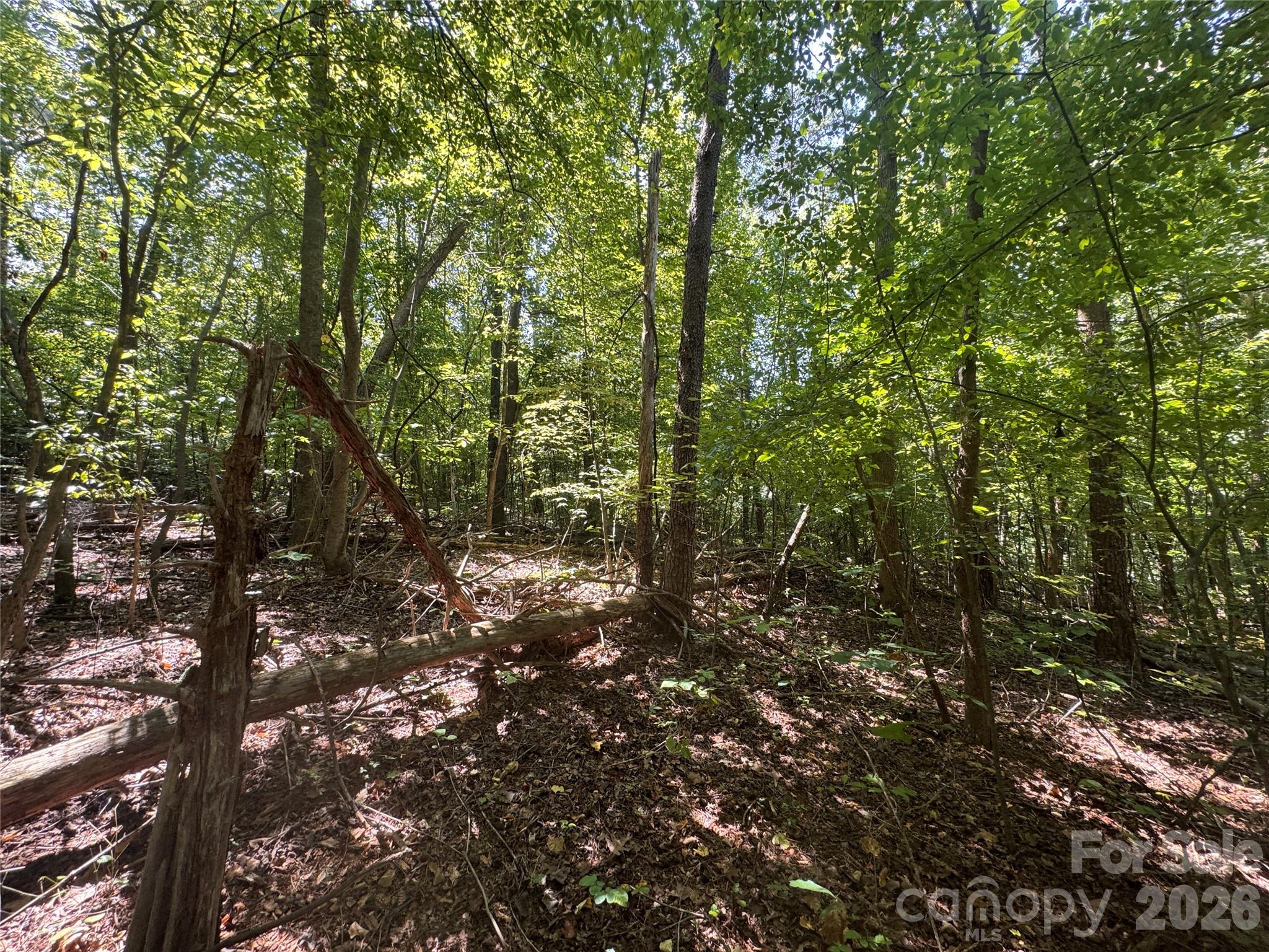 3924 Deer Run Drive Property Photo 18