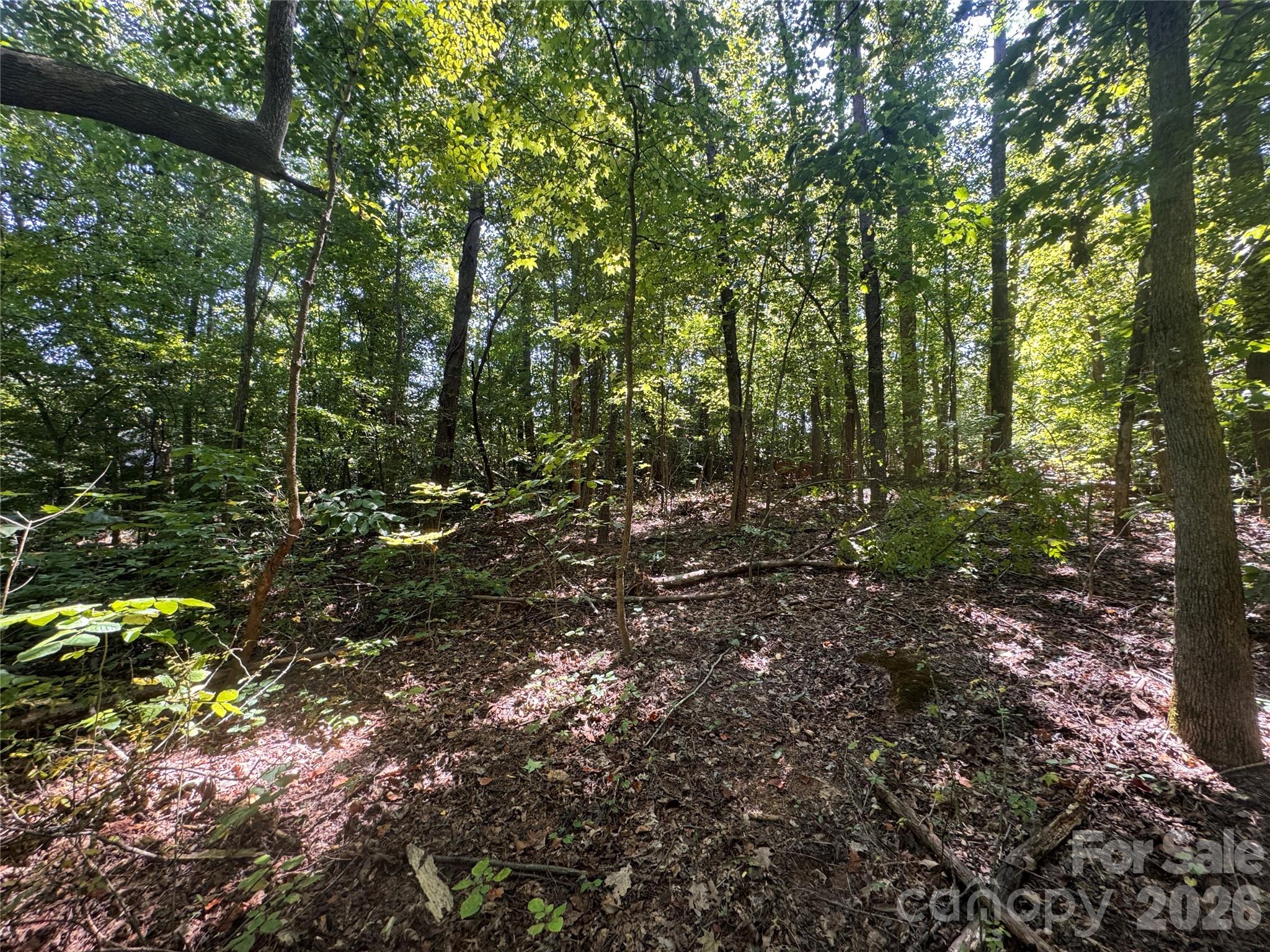 3924 Deer Run Drive Property Photo 19