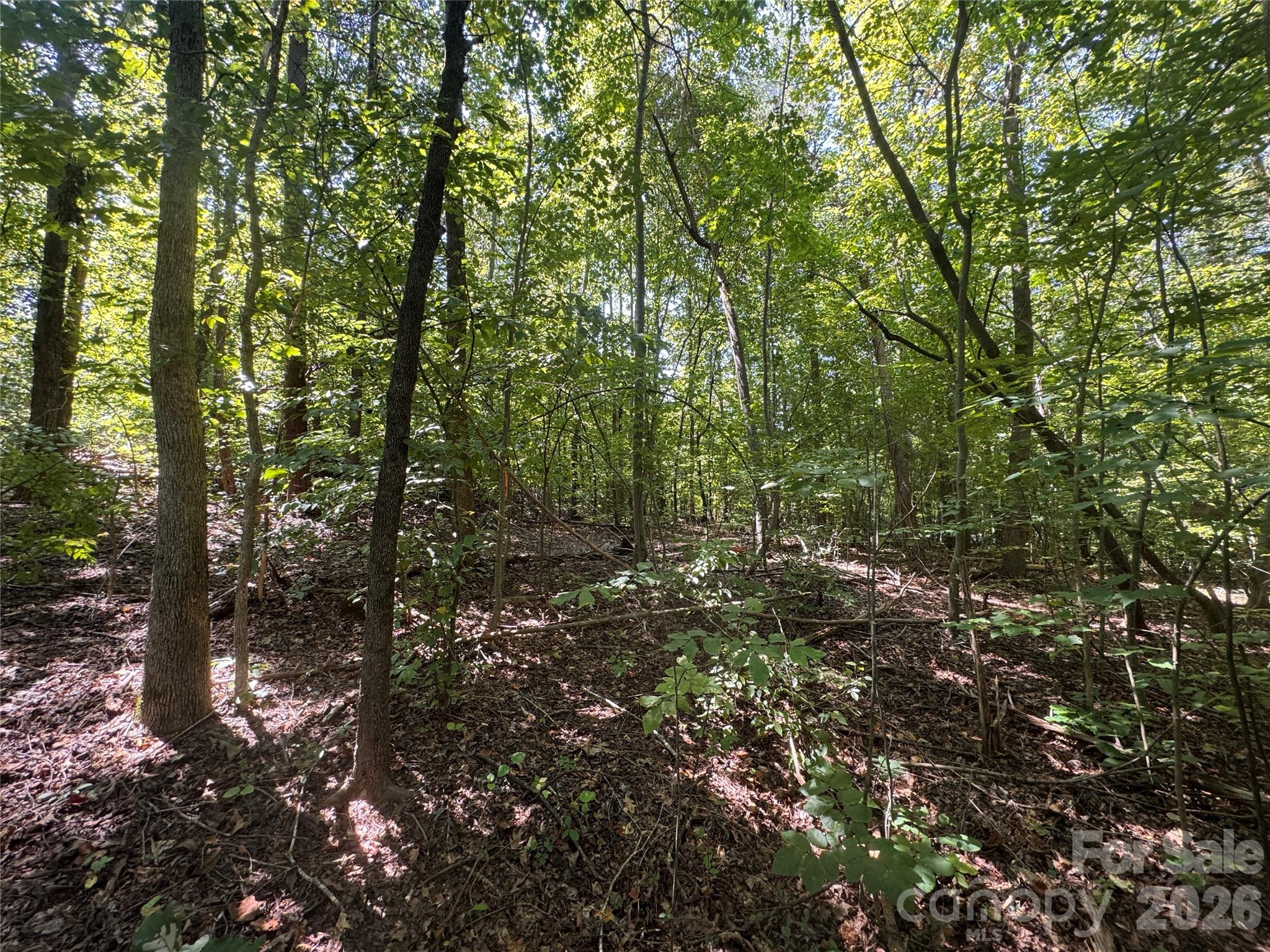 3924 Deer Run Drive Property Photo 20