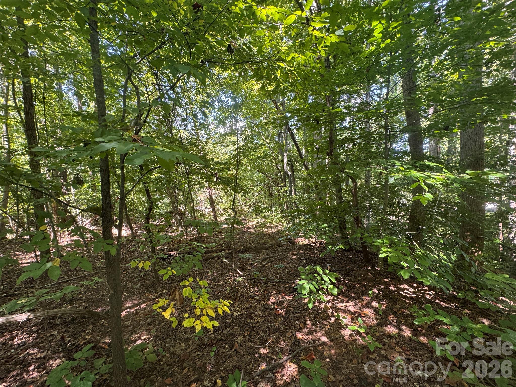 3924 Deer Run Drive Property Photo 21