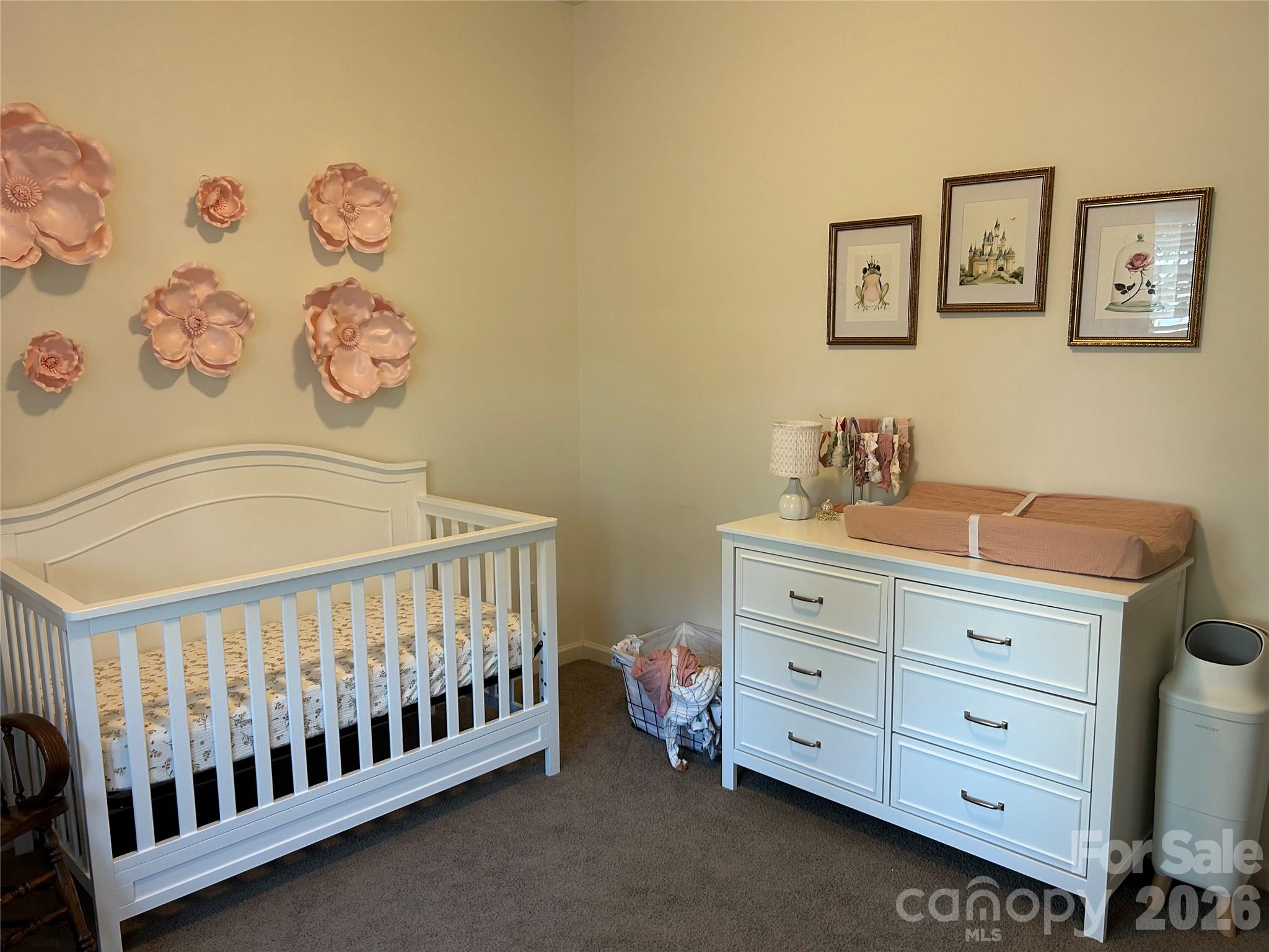 700 Skywatch Lane Property Photo 15