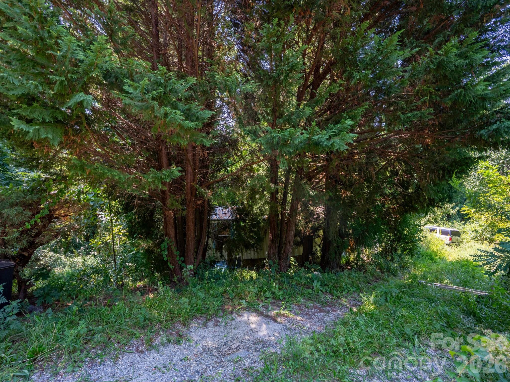 154 Pacolet Street Property Photo 3