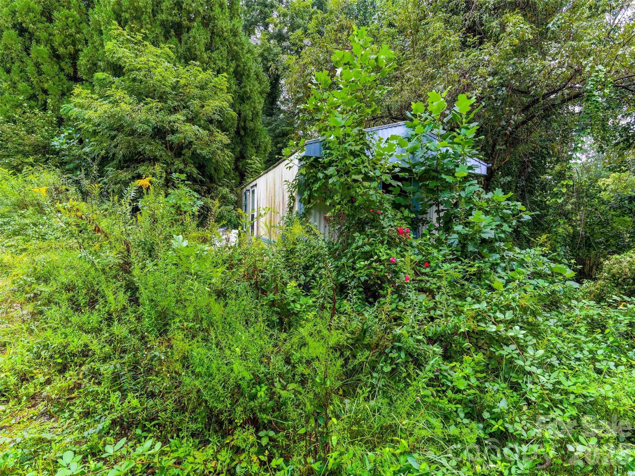 154 Pacolet Street Property Photo 5
