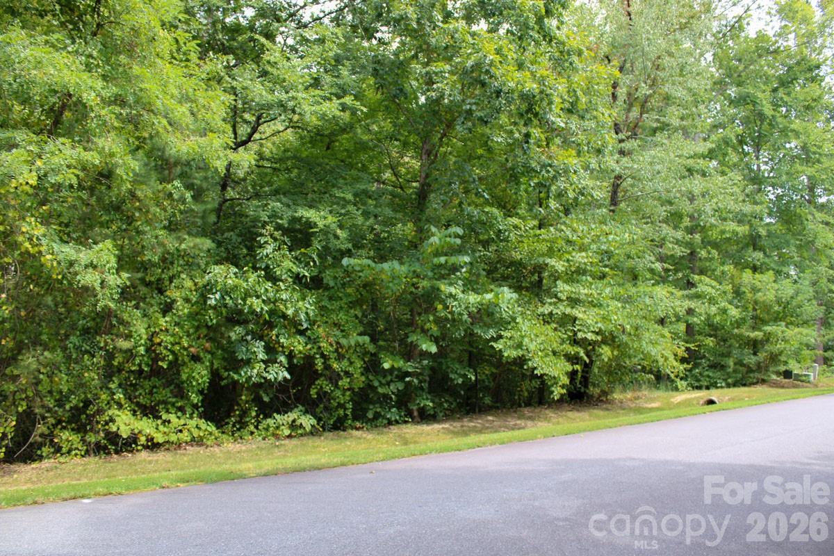 238 Bluff Lane Property Photo 19