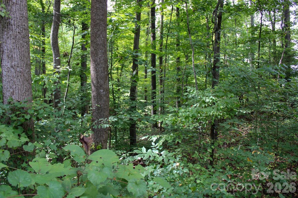 238 Bluff Lane Property Photo 21