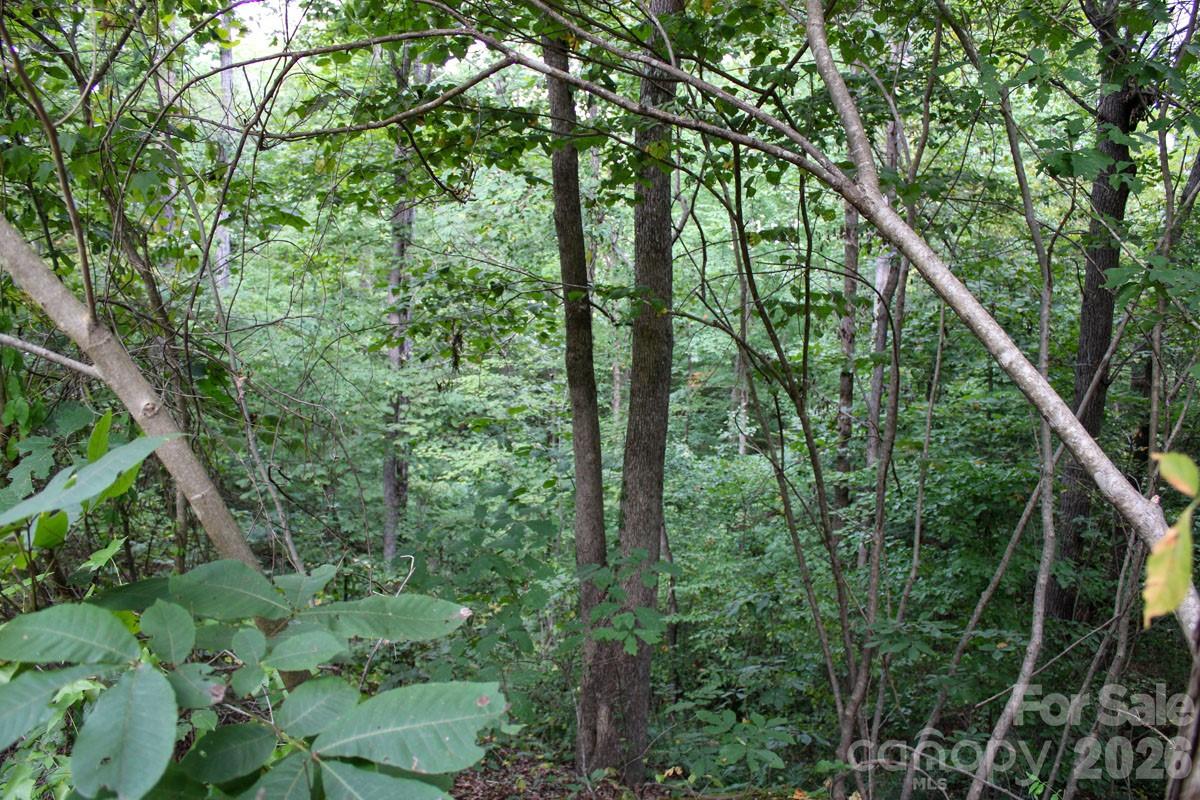 238 Bluff Lane Property Photo 22