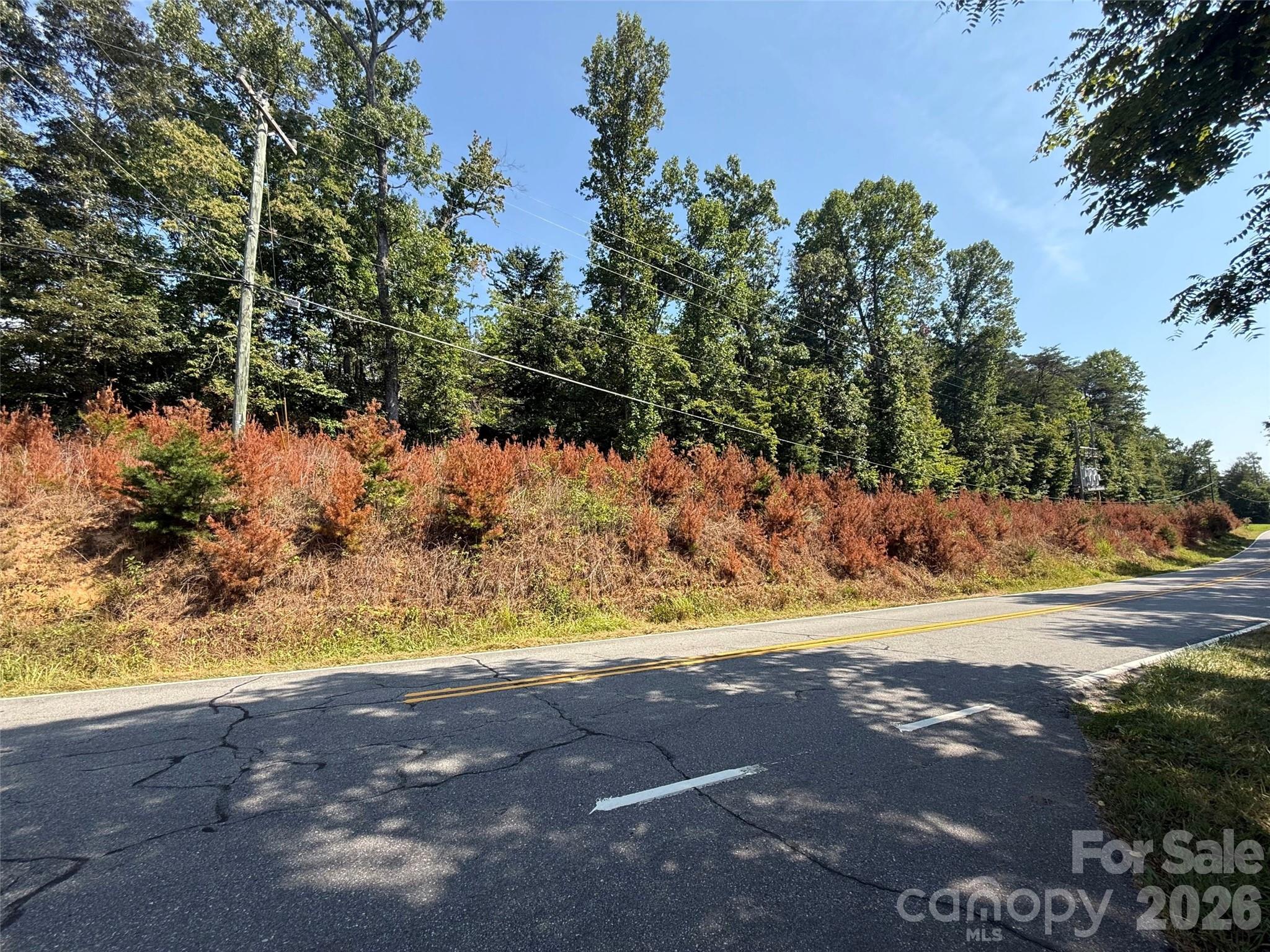 00 Old Fort Sugar Hill Road Property Photo 1