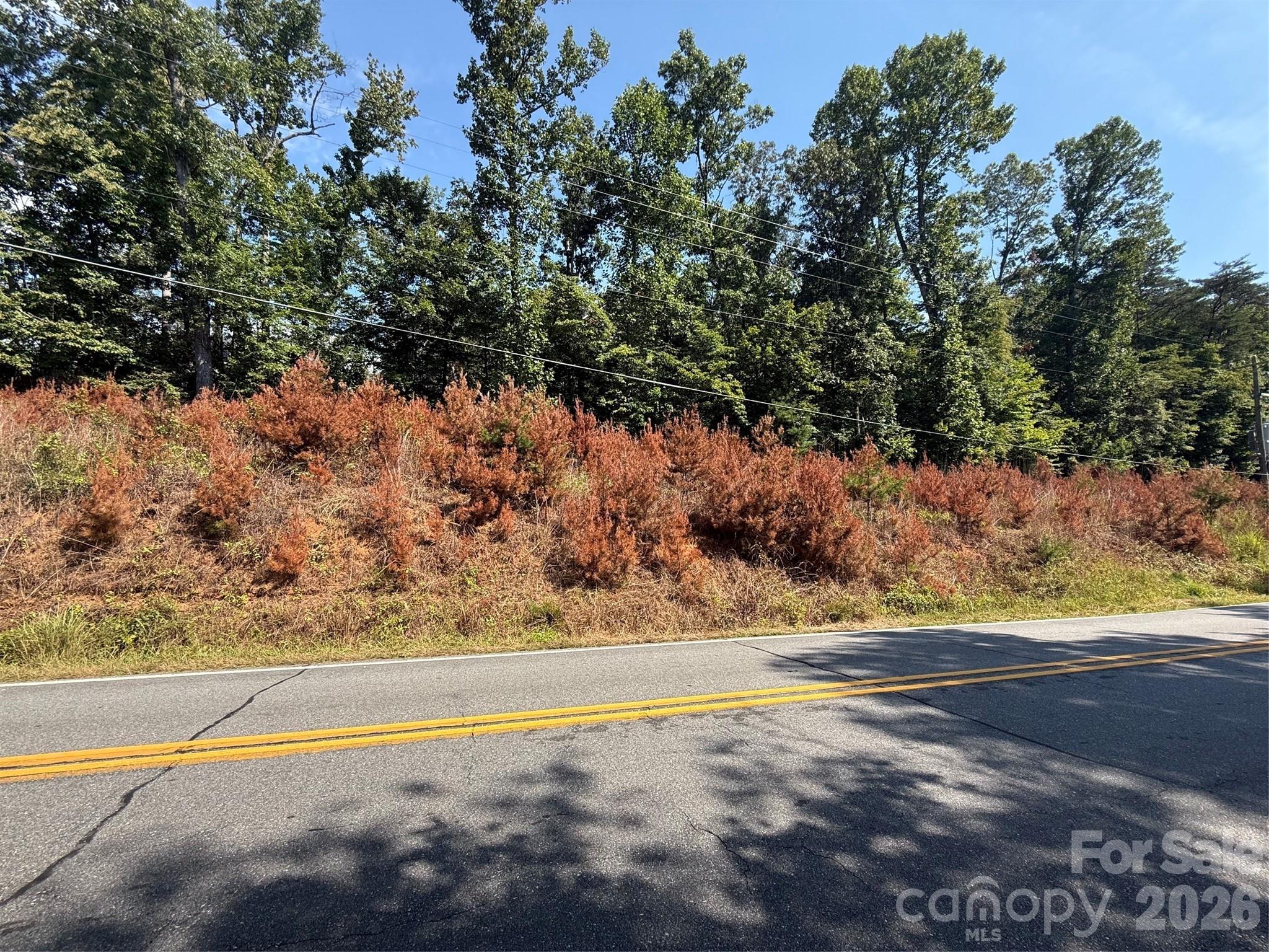 00 Old Fort Sugar Hill Road Property Photo 2