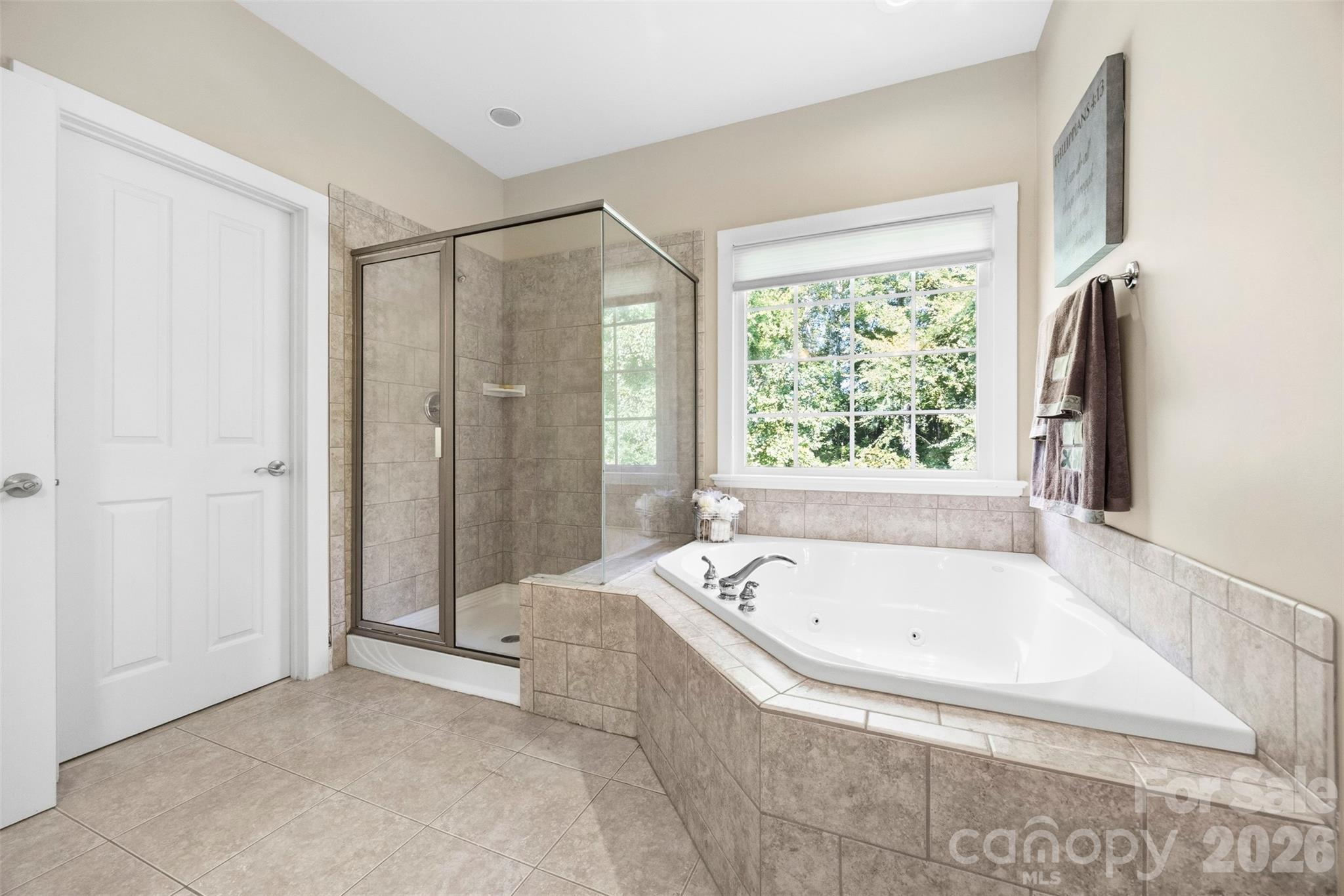 11145 Tradition View Drive Property Photo 20