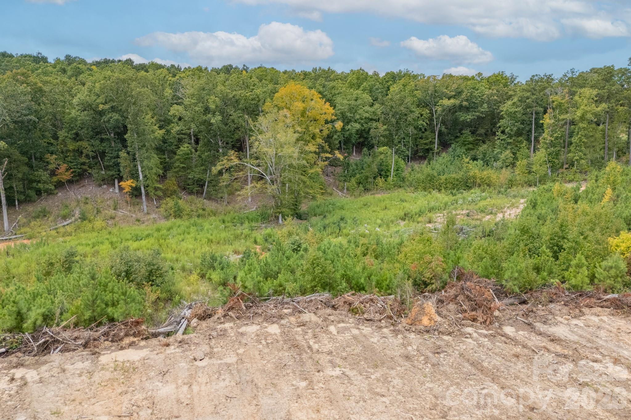 1513 Debutary Road Property Photo 33