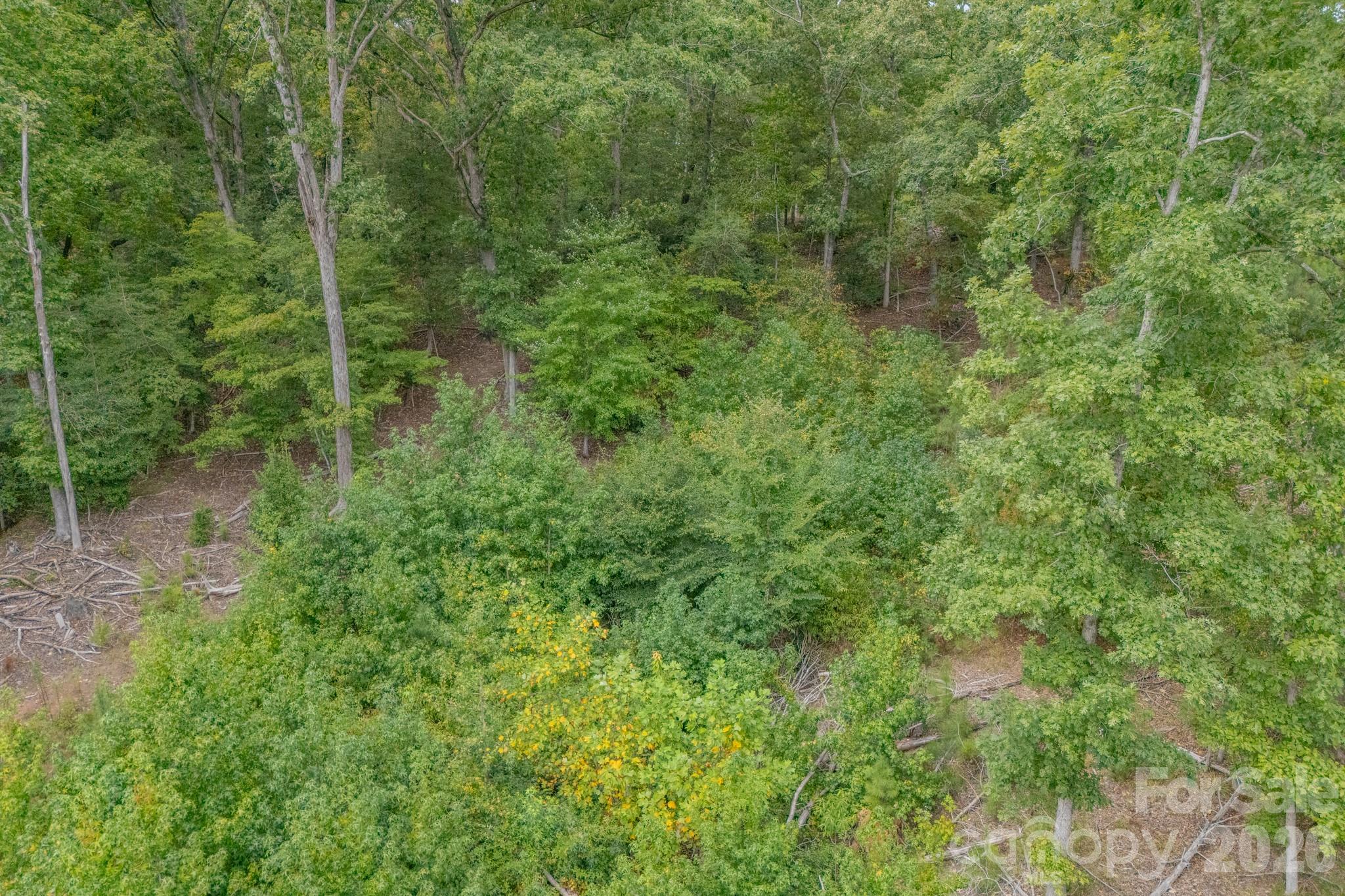1513 Debutary Road Property Photo 34