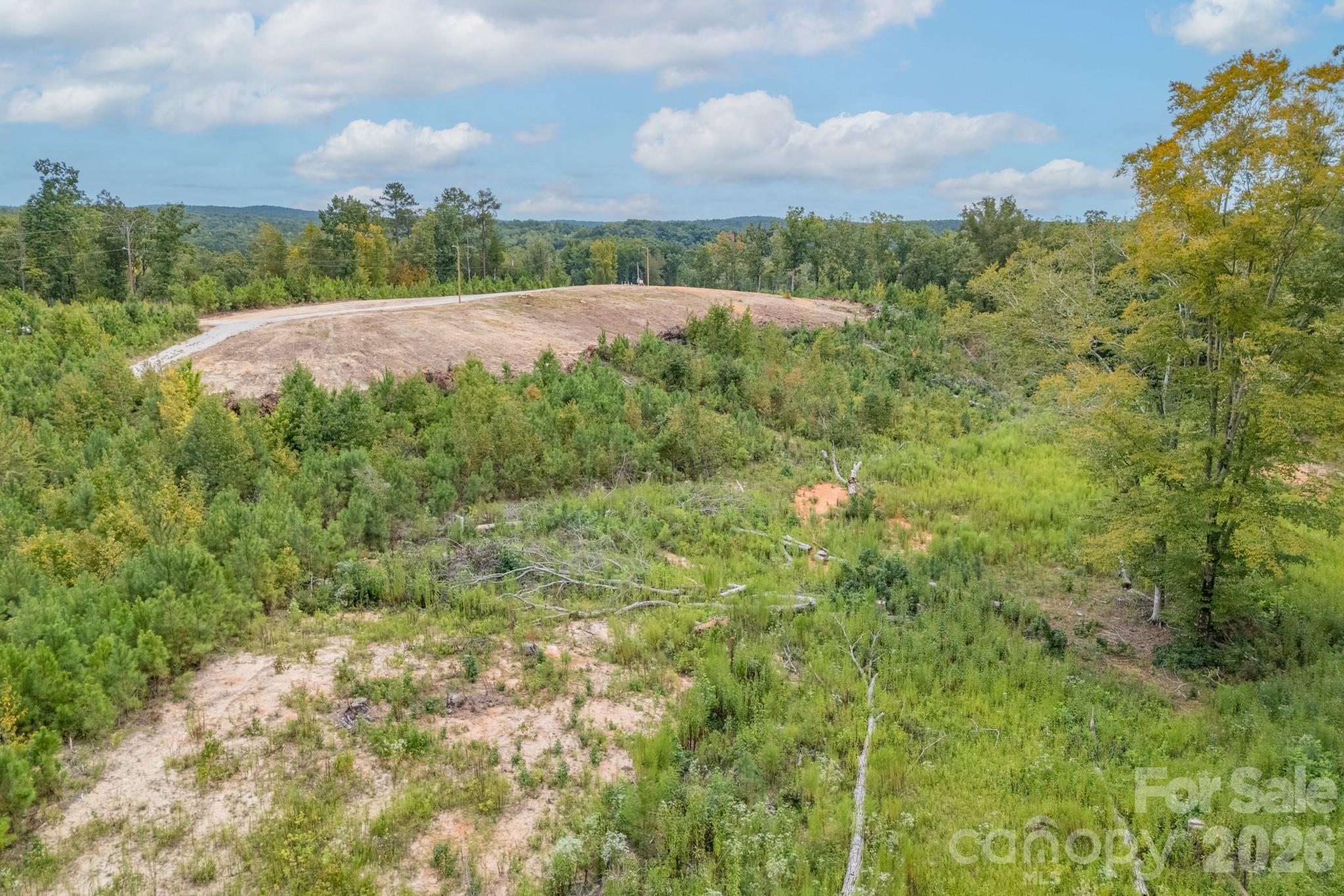 1513 Debutary Road Property Photo 35