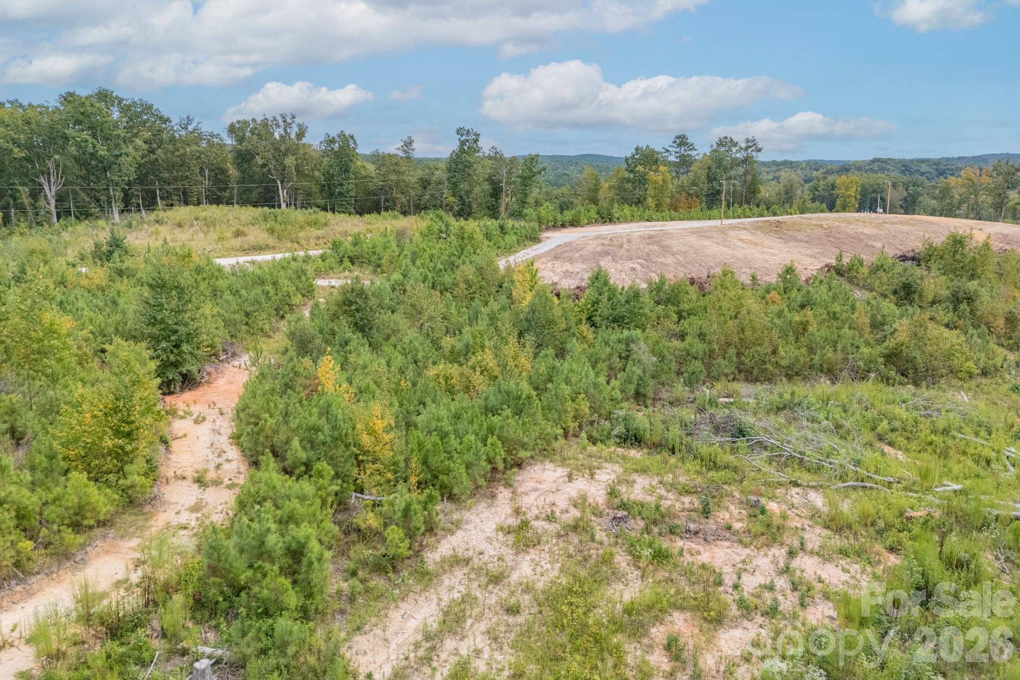 1513 Debutary Road Property Photo 36