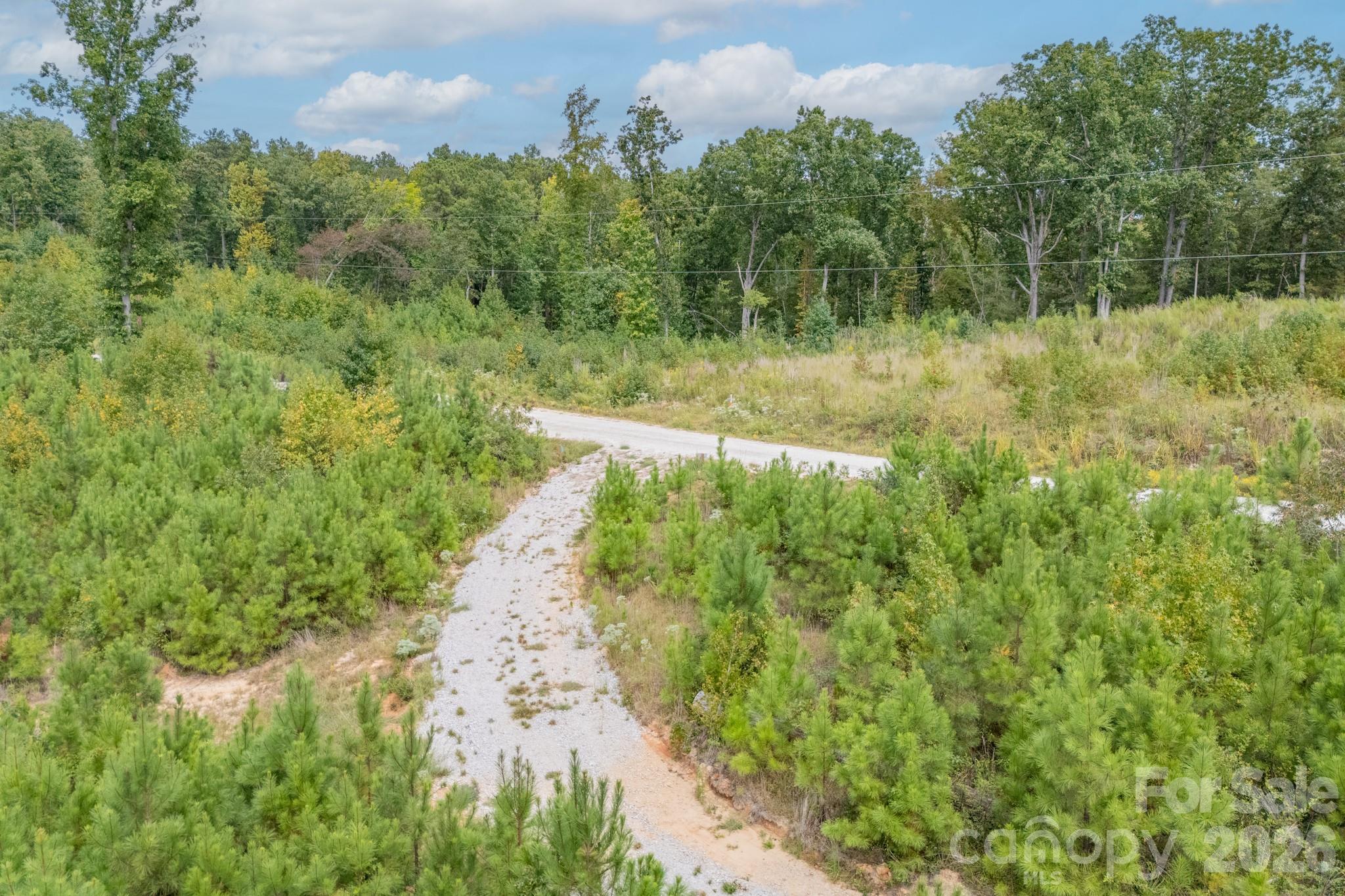 1513 Debutary Road Property Photo 45