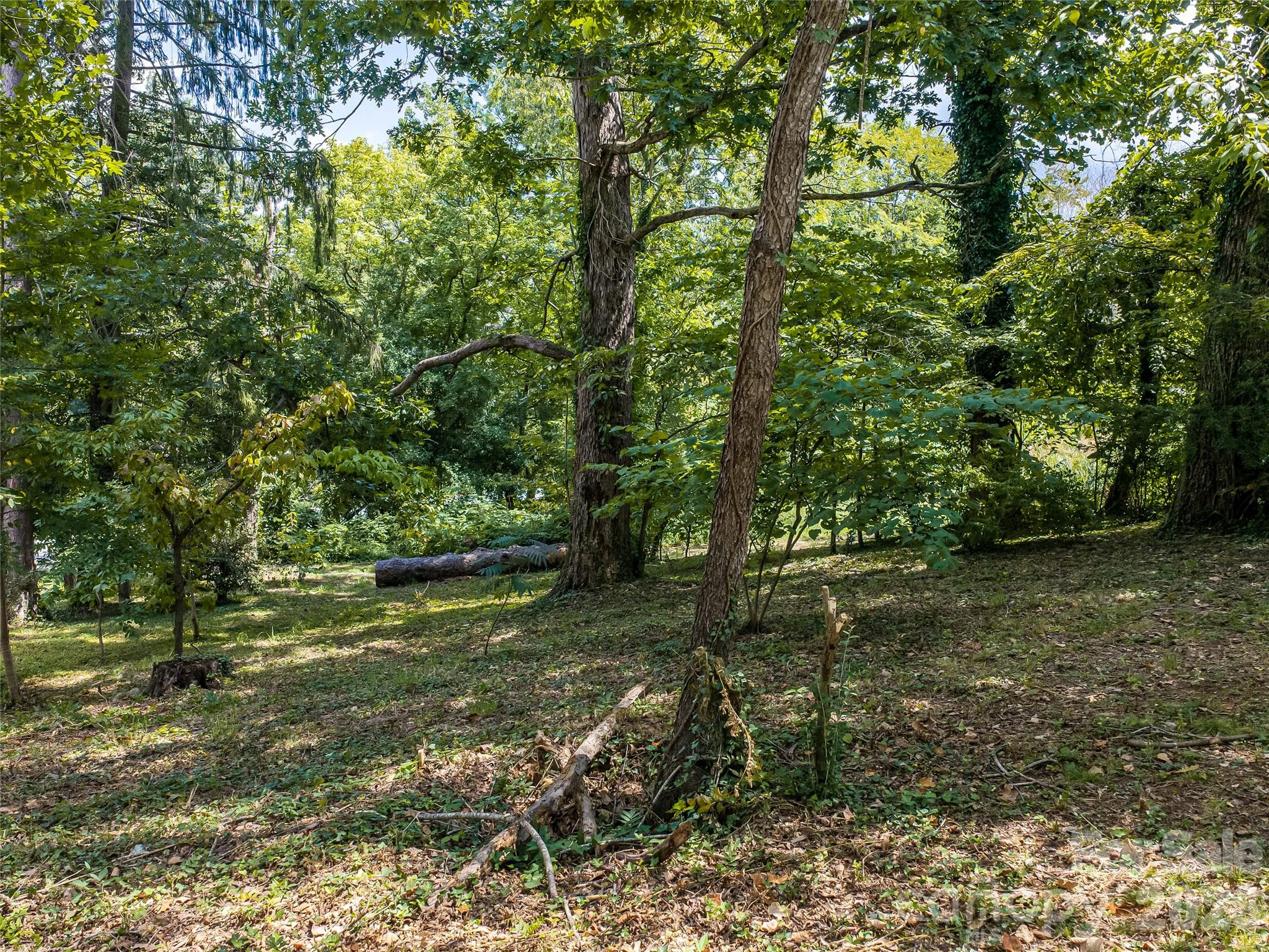 145 Kenilworth Road Property Photo 9
