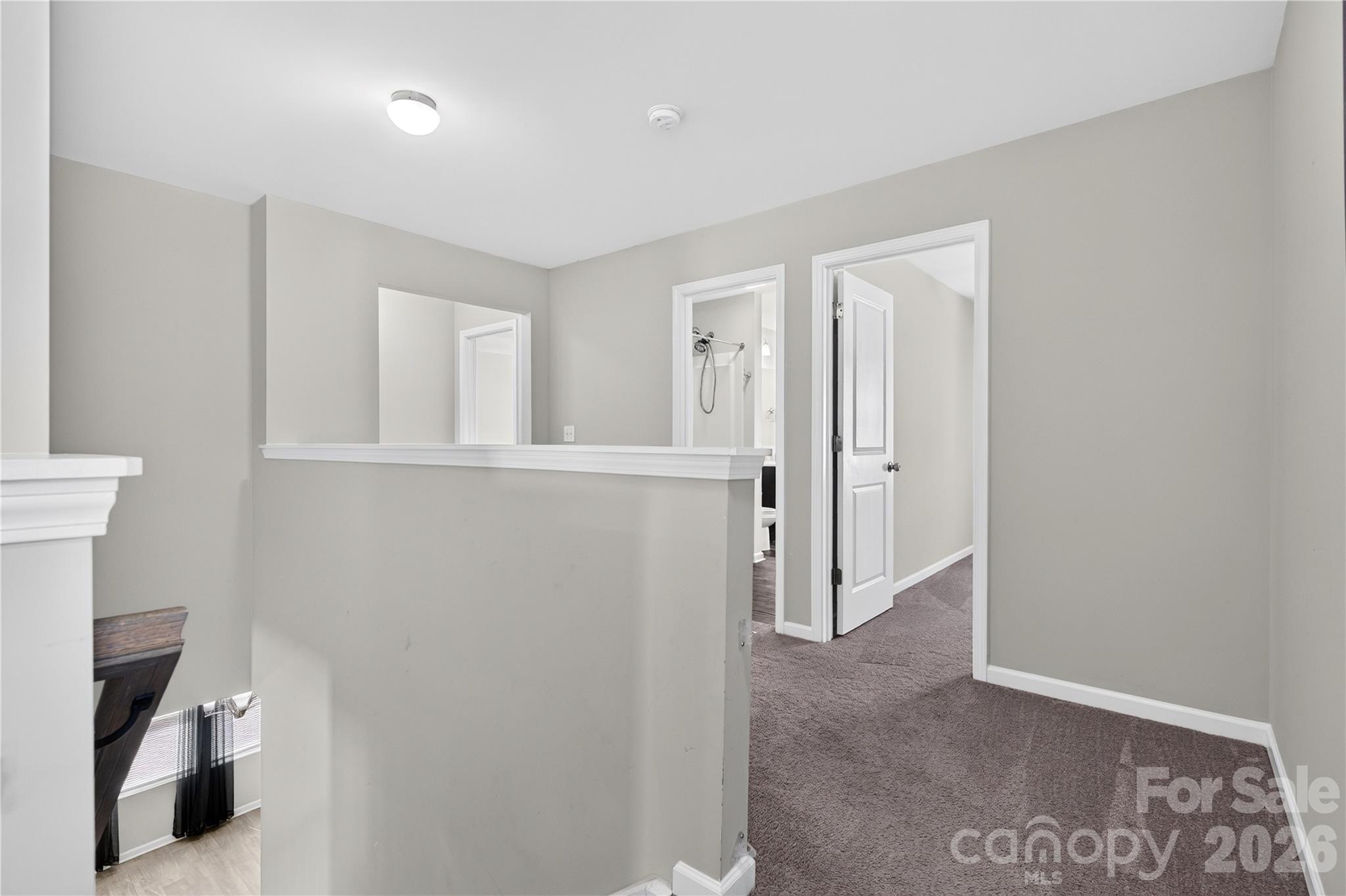 167 Sutters Mill Drive Property Photo 16