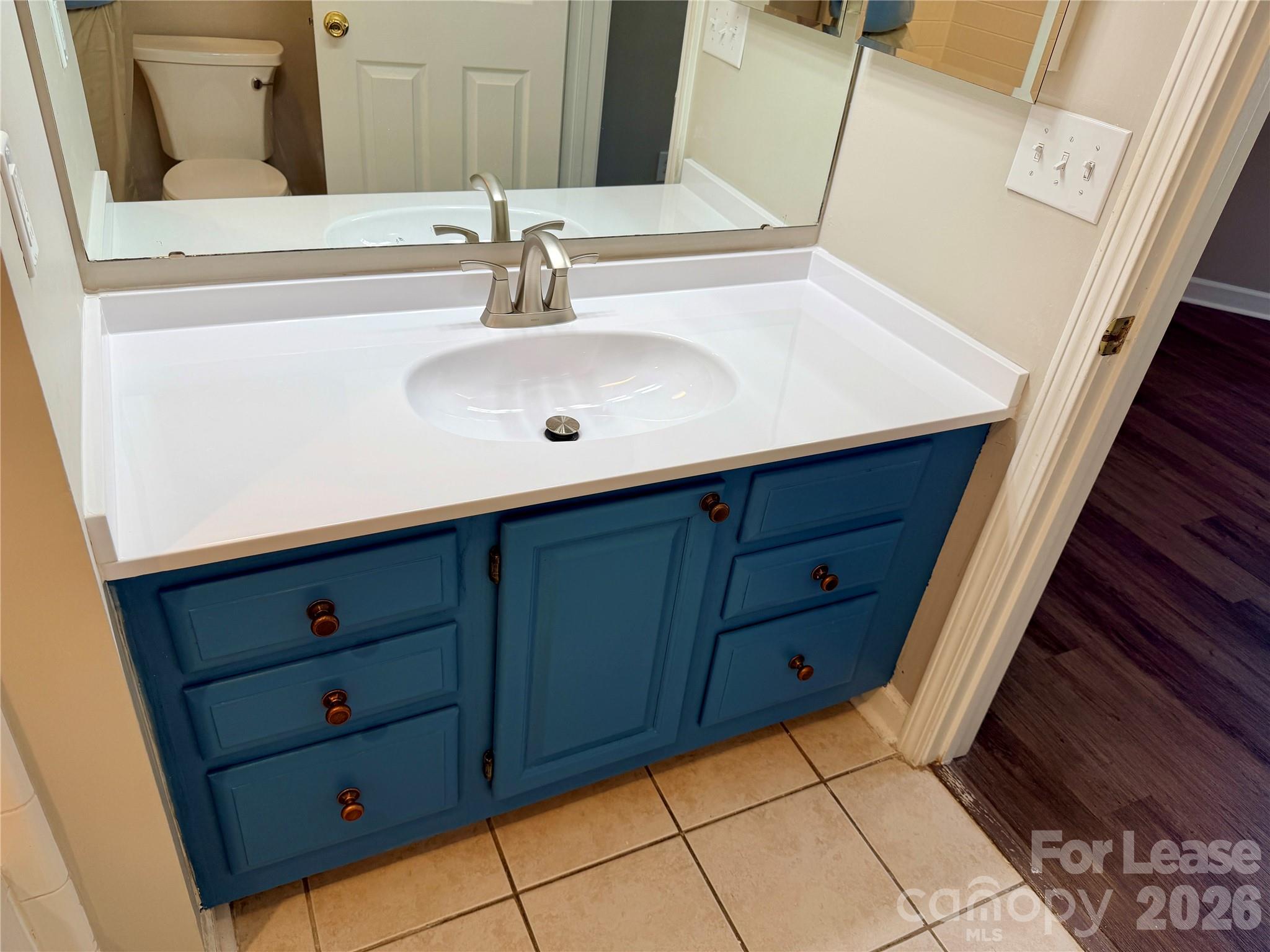 18771 Vineyard Point Lane Property Photo 18