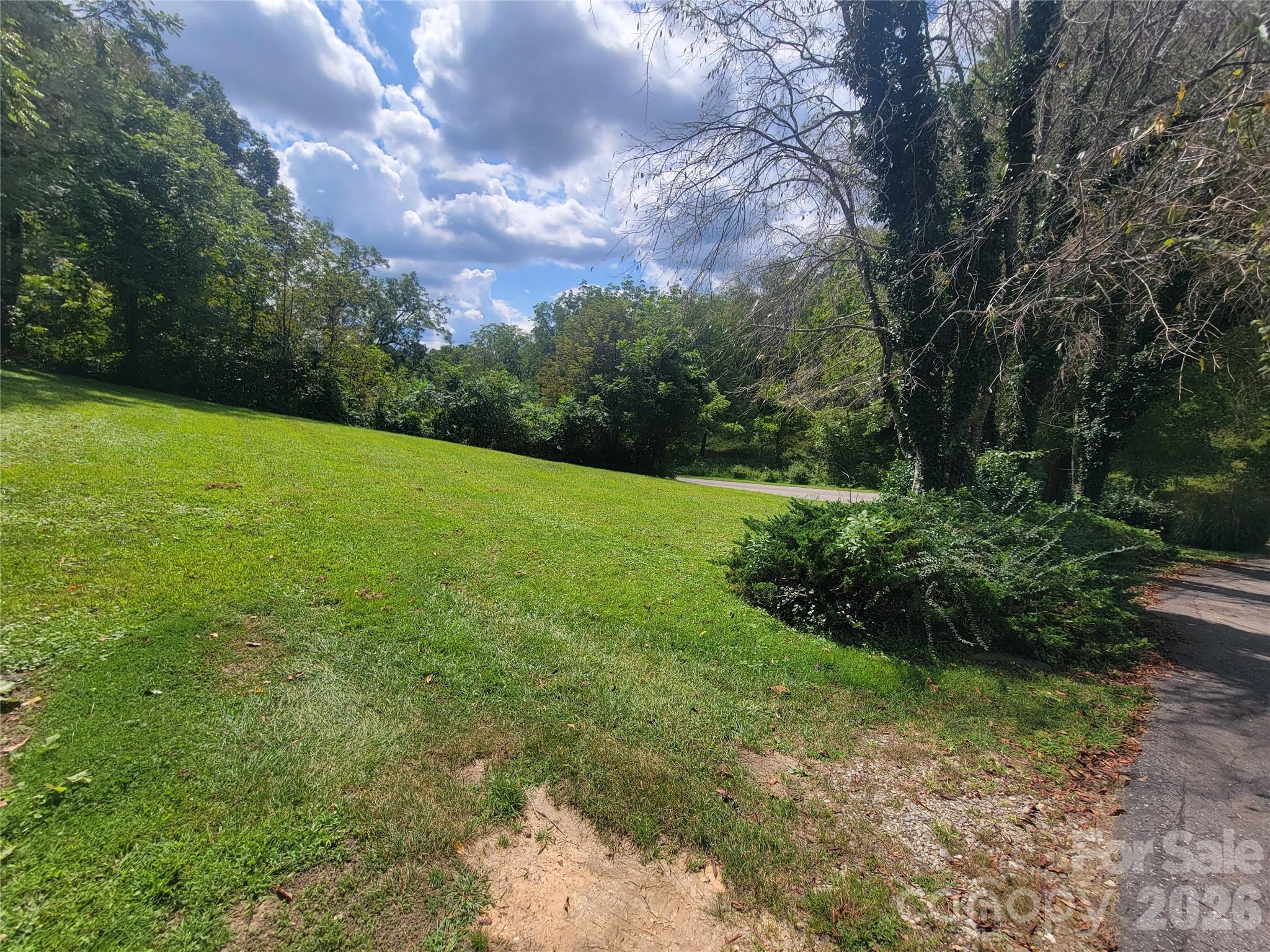 204 Kudzu Loop Property Photo 4