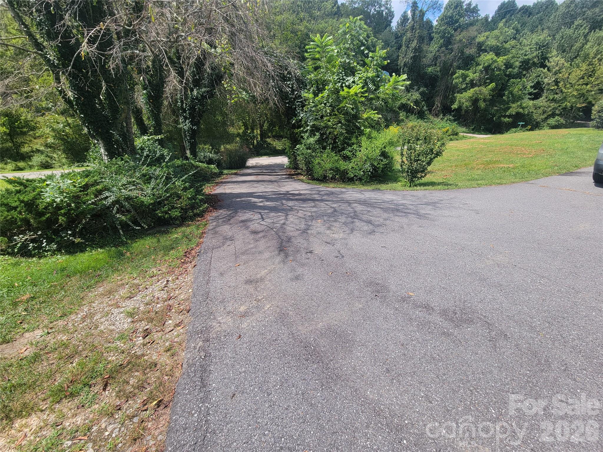 204 Kudzu Loop Property Photo 5