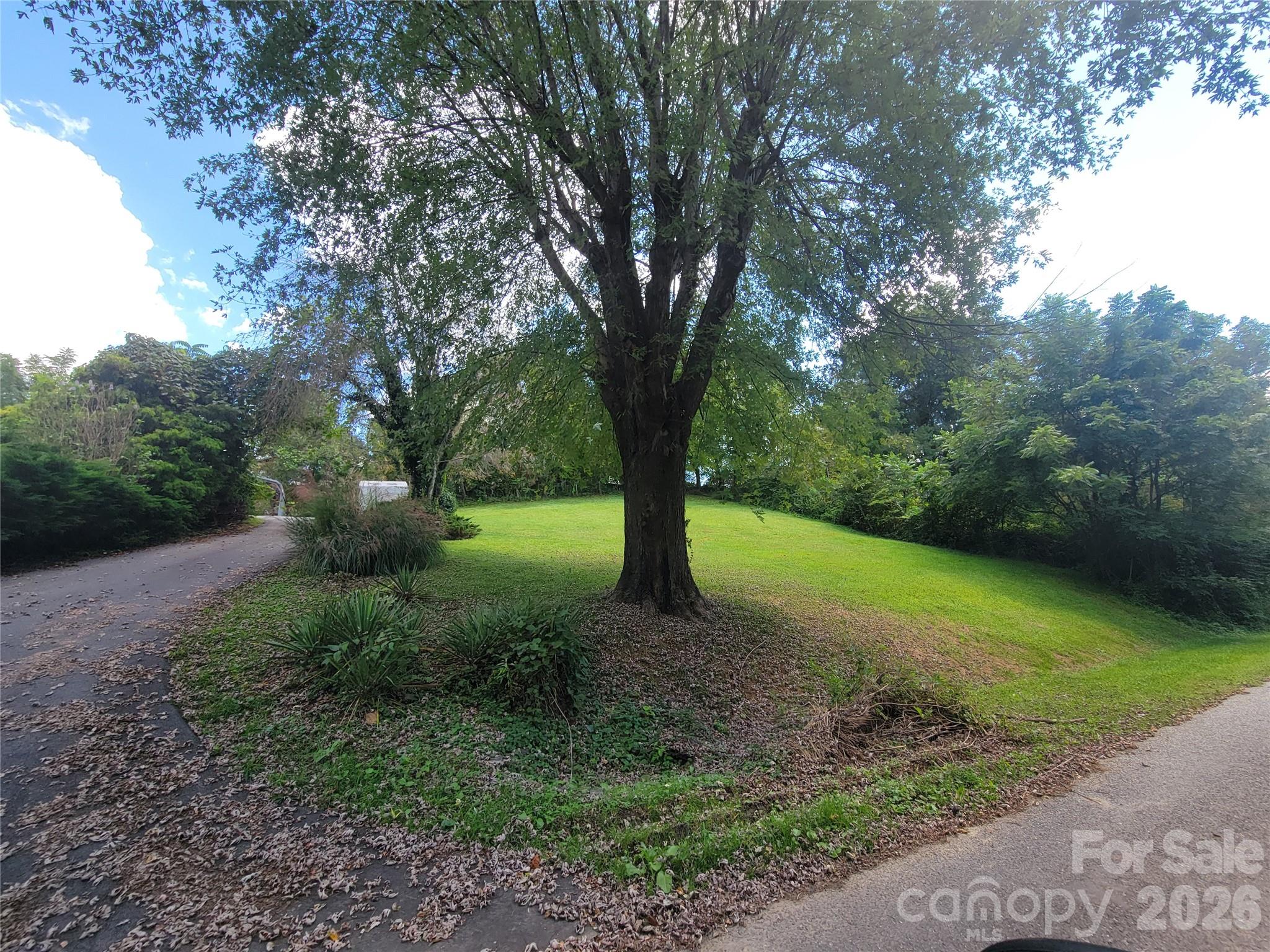 204 Kudzu Loop Property Photo 35