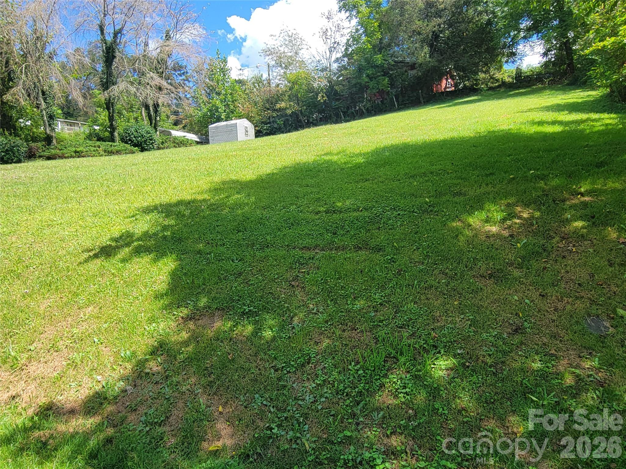 204 Kudzu Loop Property Photo 36