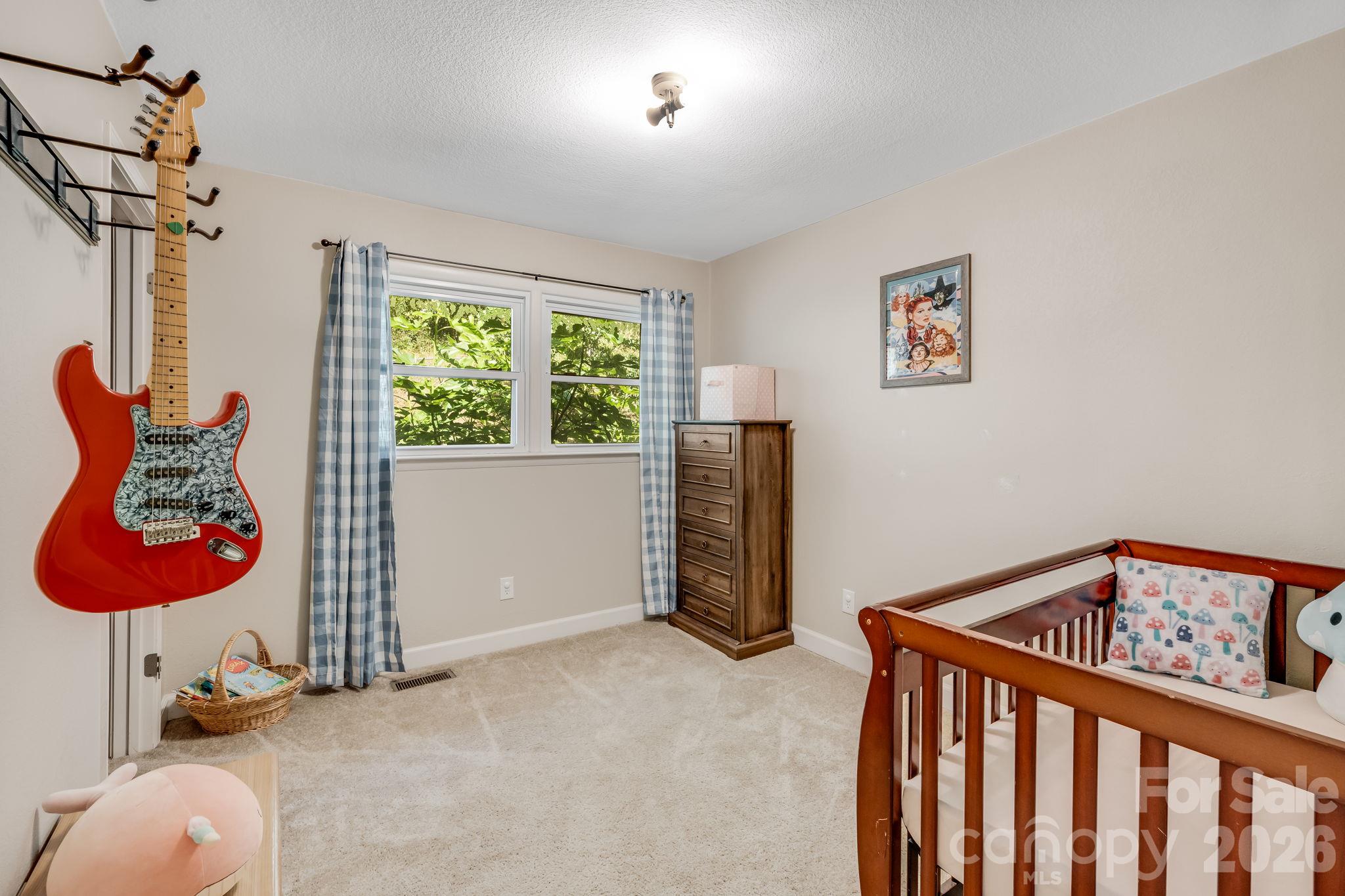 226 Mills Gap Road Property Photo 33