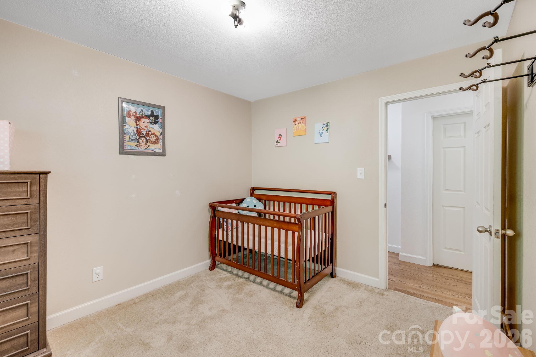 226 Mills Gap Road Property Photo 35