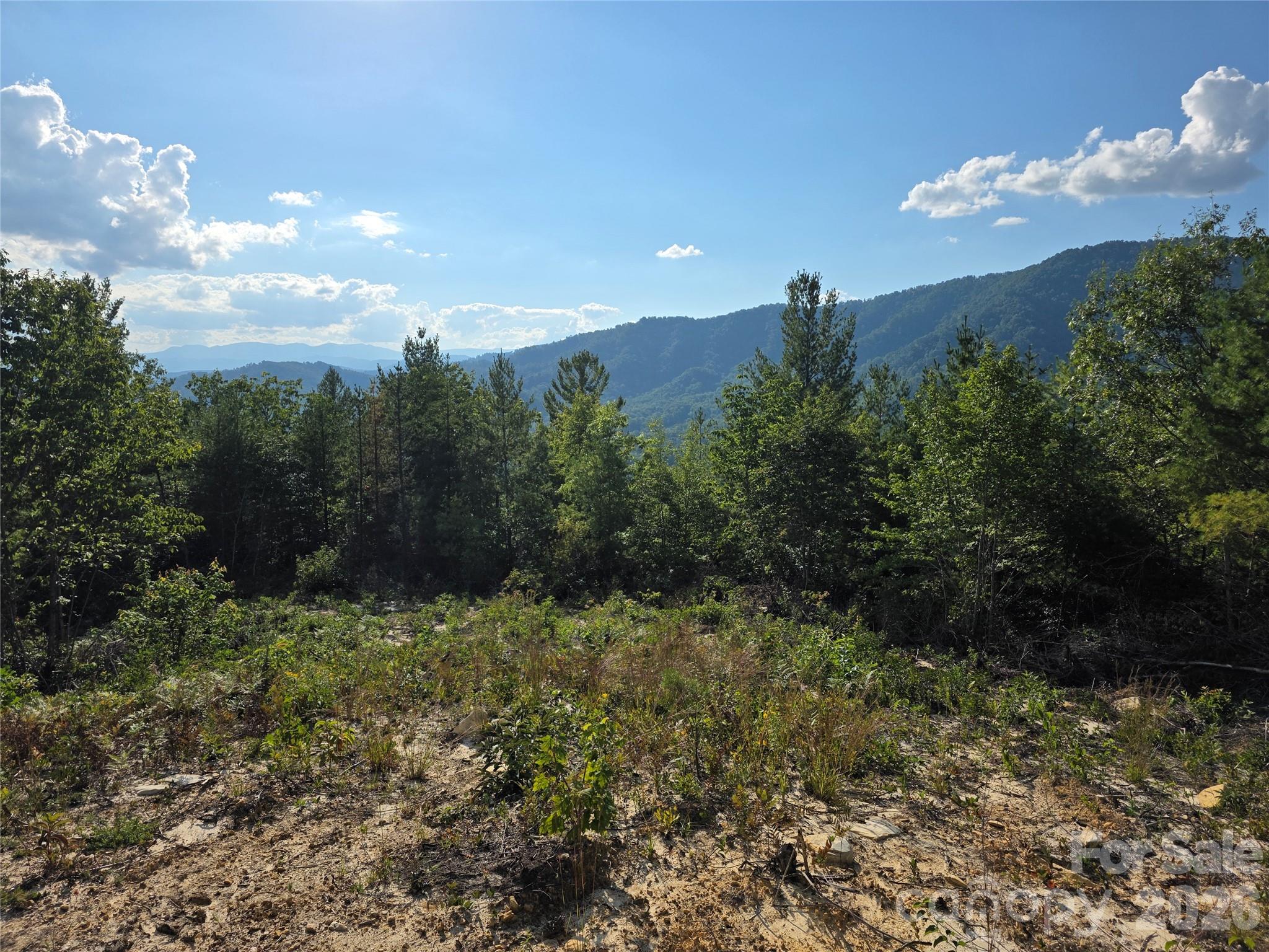 318 Sequoyah Circle Property Photo 15