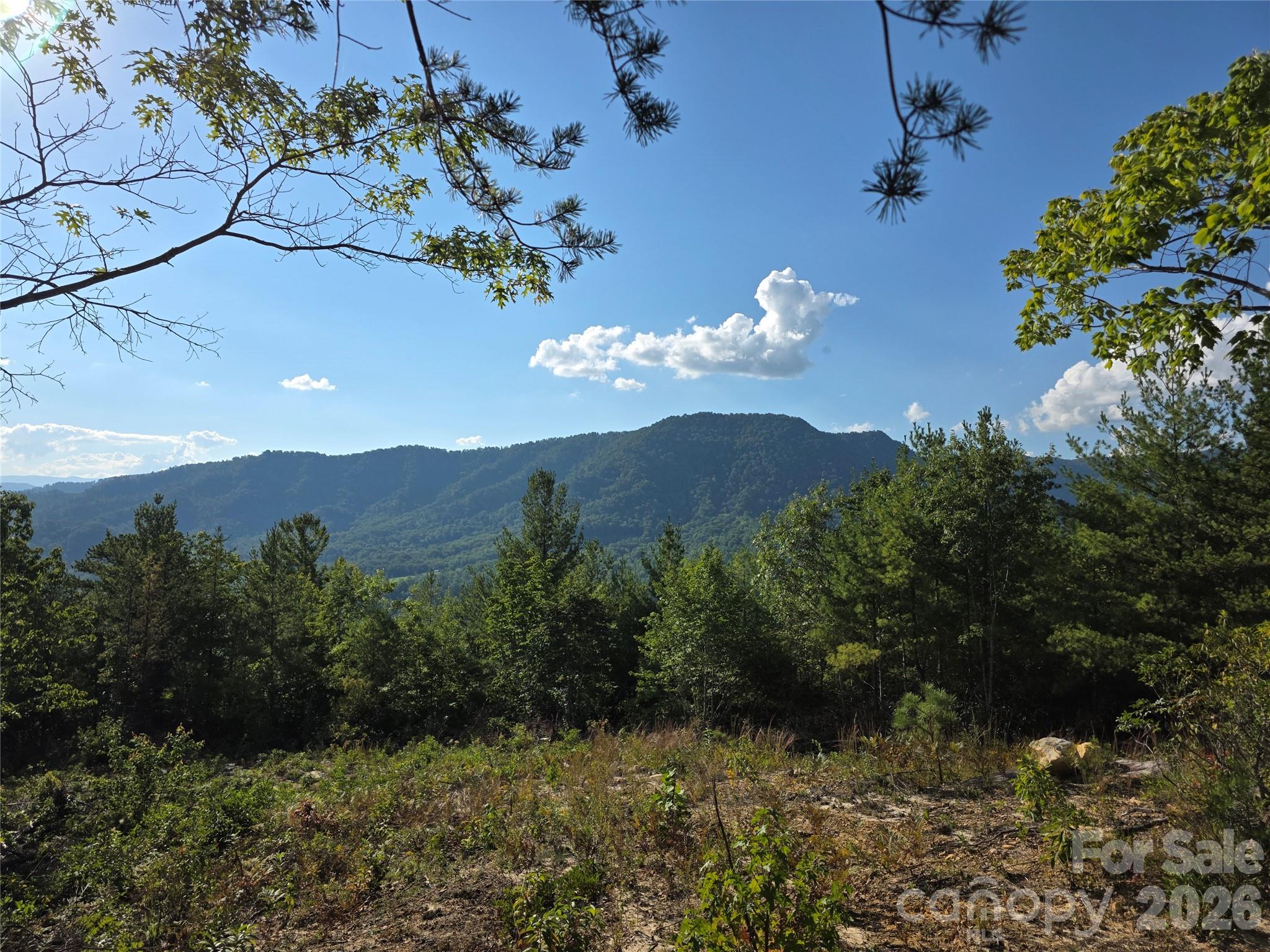 318 Sequoyah Circle Property Photo 16