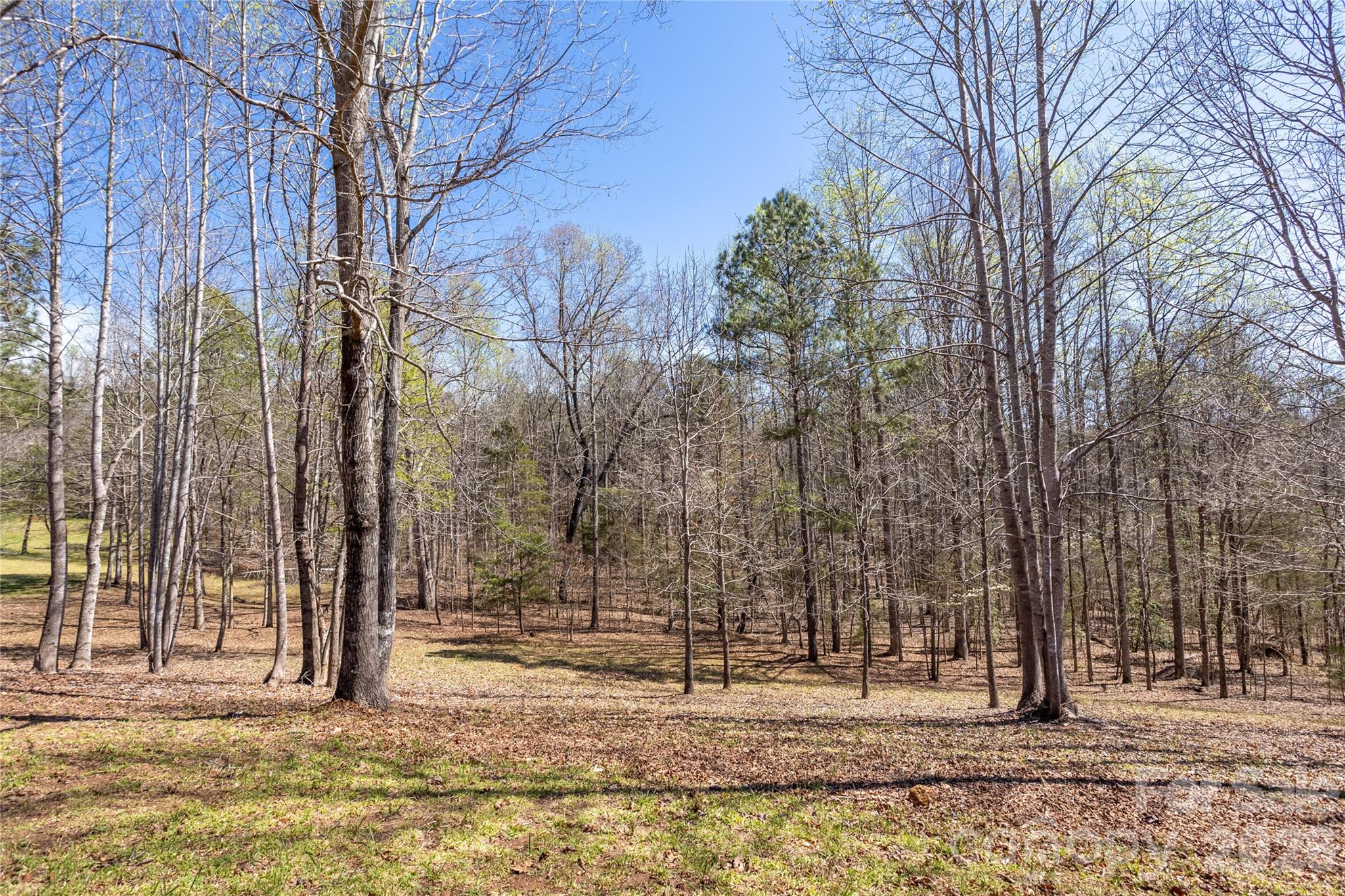201 Whitestone Circle Property Photo 33