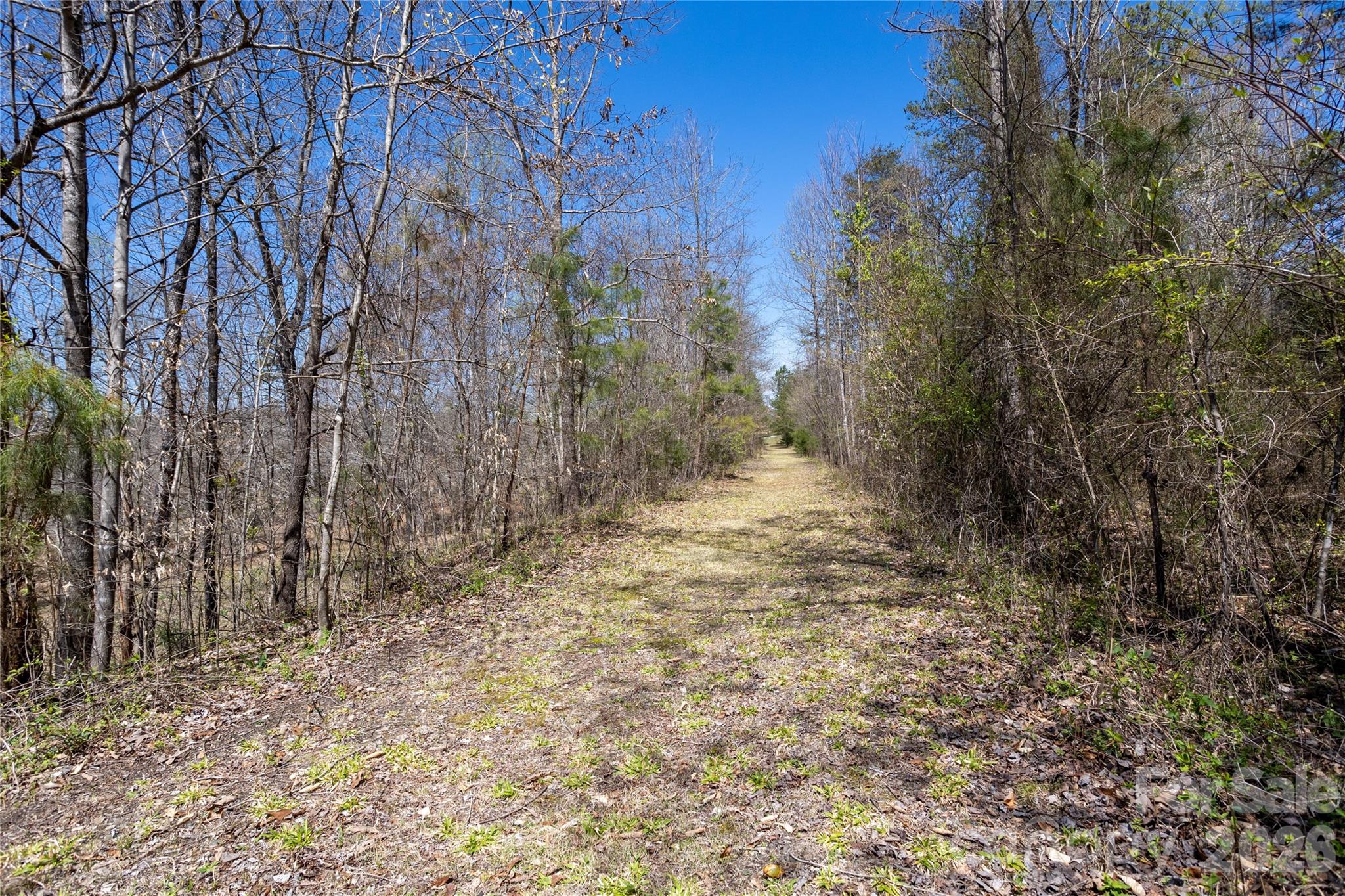 201 Whitestone Circle Property Photo 37