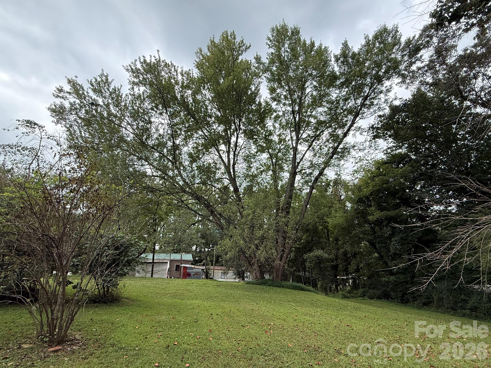 68 Morris Avenue Property Photo 8