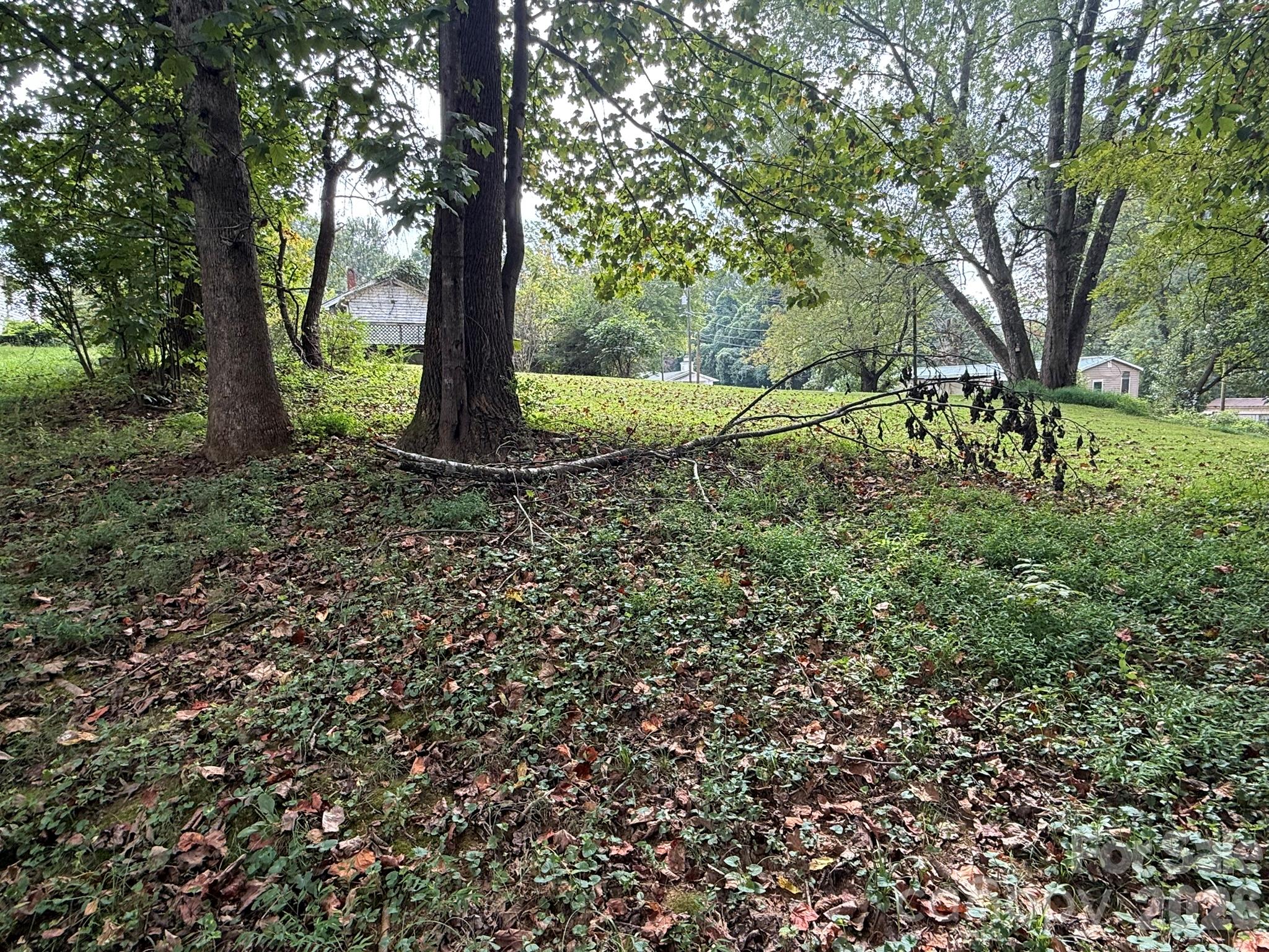 68 Morris Avenue Property Photo 29