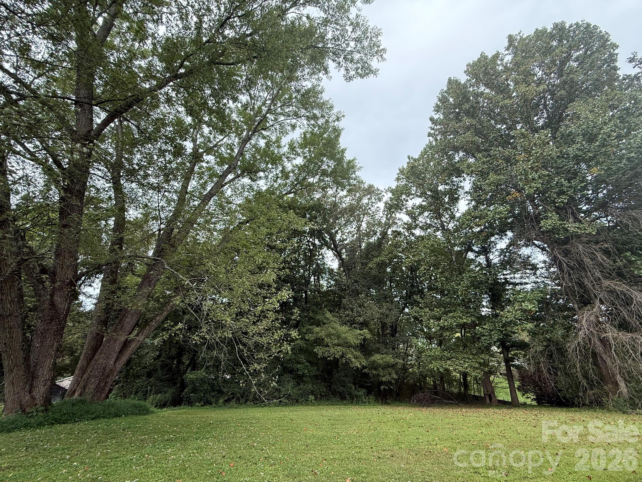68 Morris Avenue Property Photo 30
