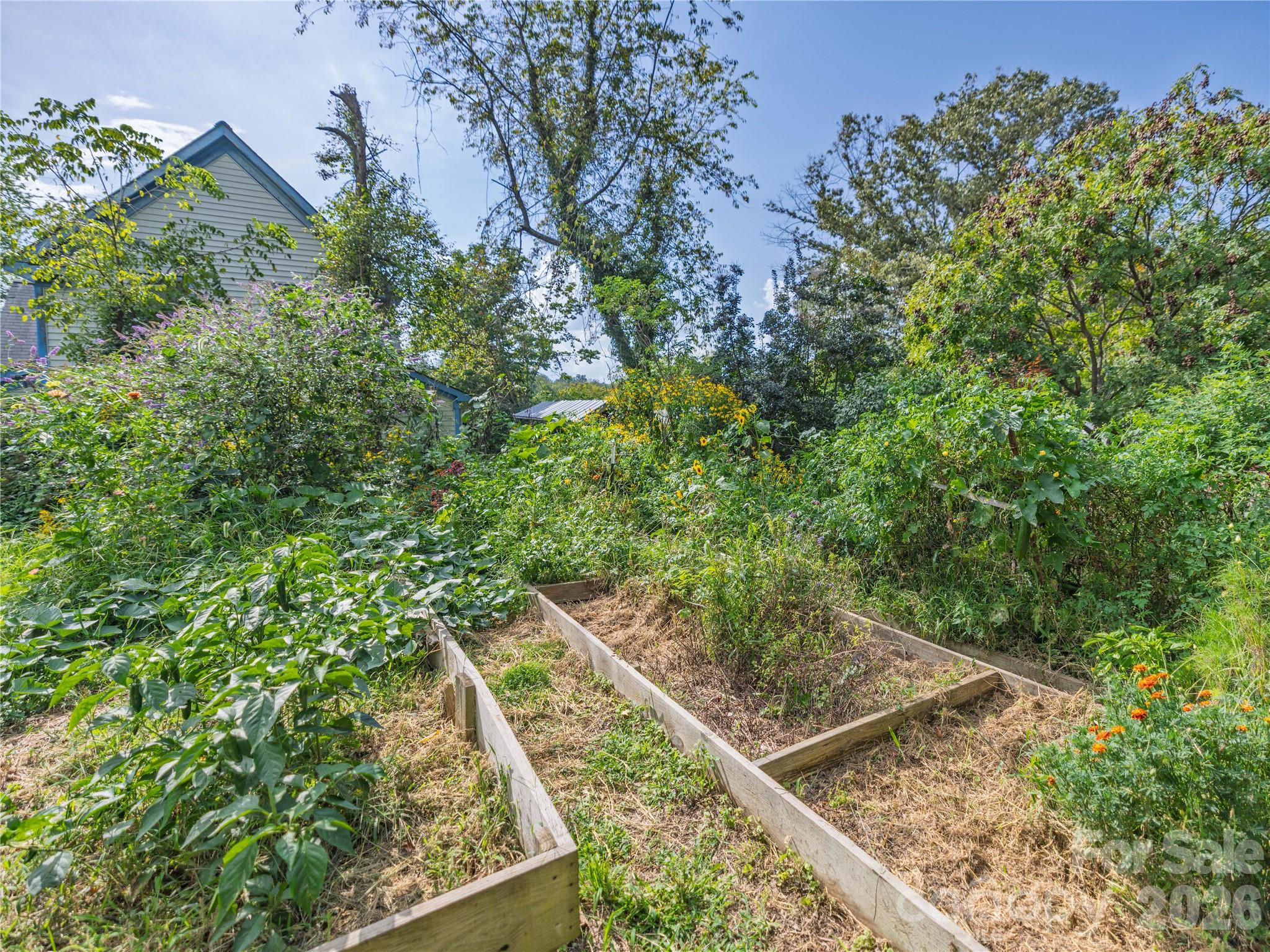 23 Northview Street Property Photo 25