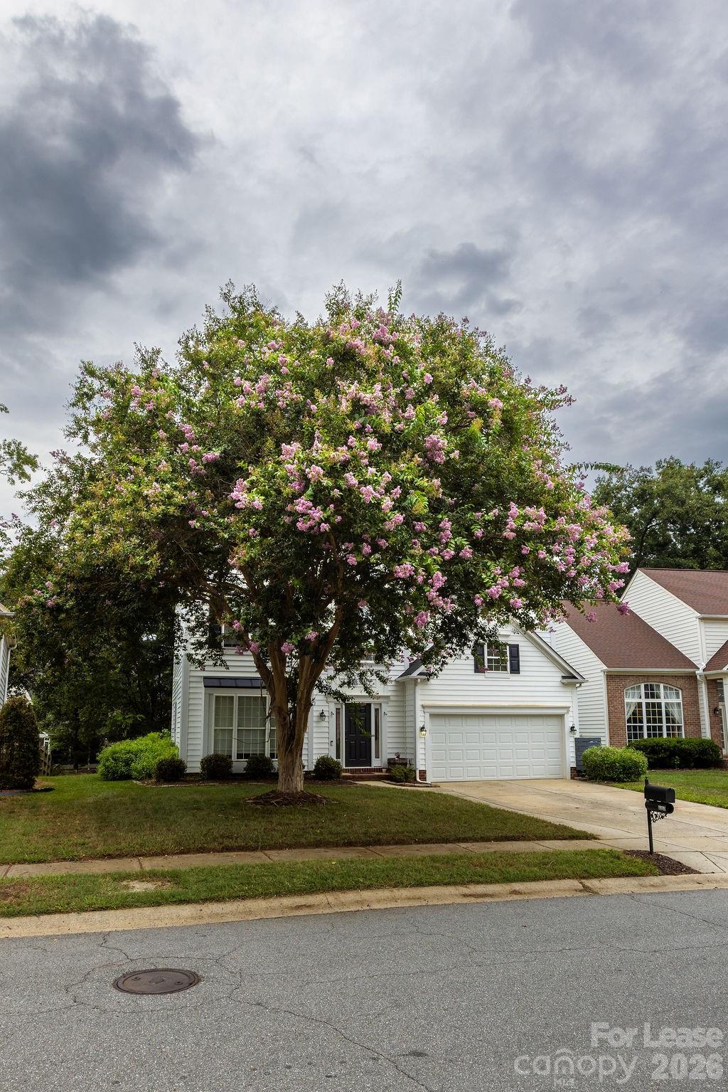 6337 Elderslie Drive Property Photo 4