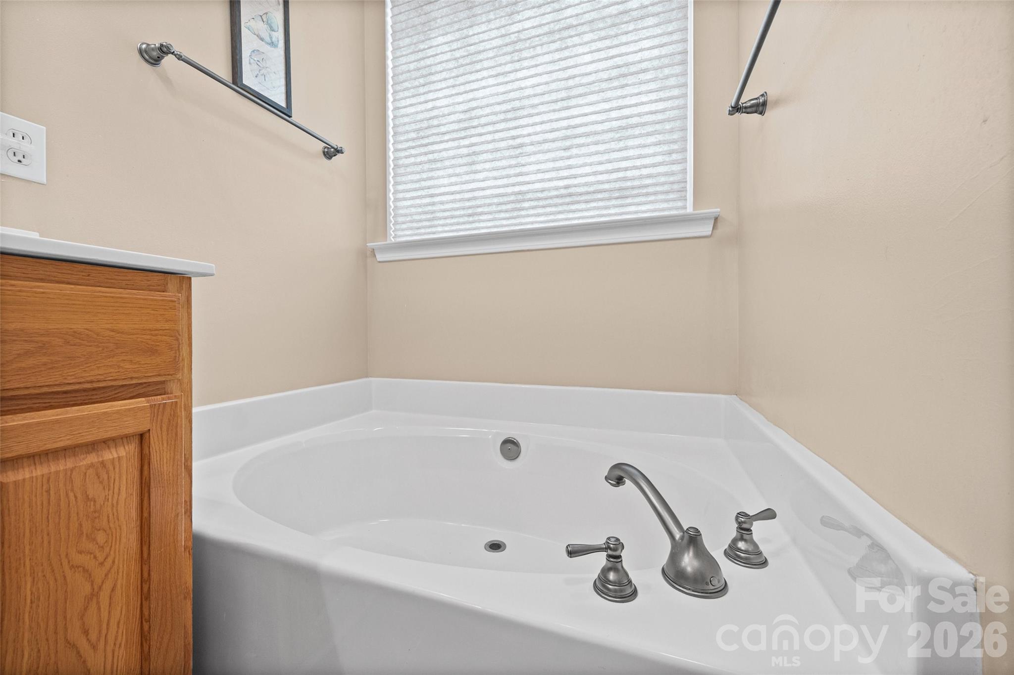 3173 Pine Bluff Way Property Photo 31