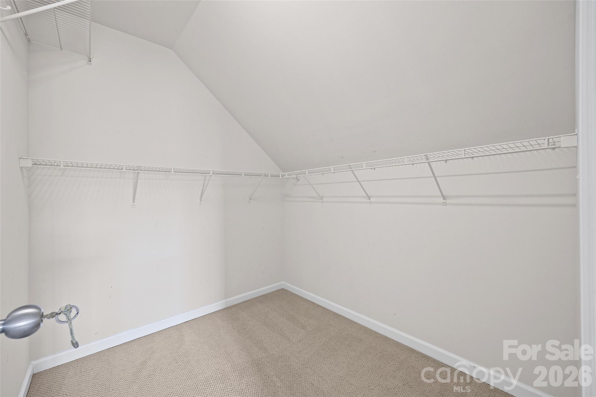3173 Pine Bluff Way Property Photo 36