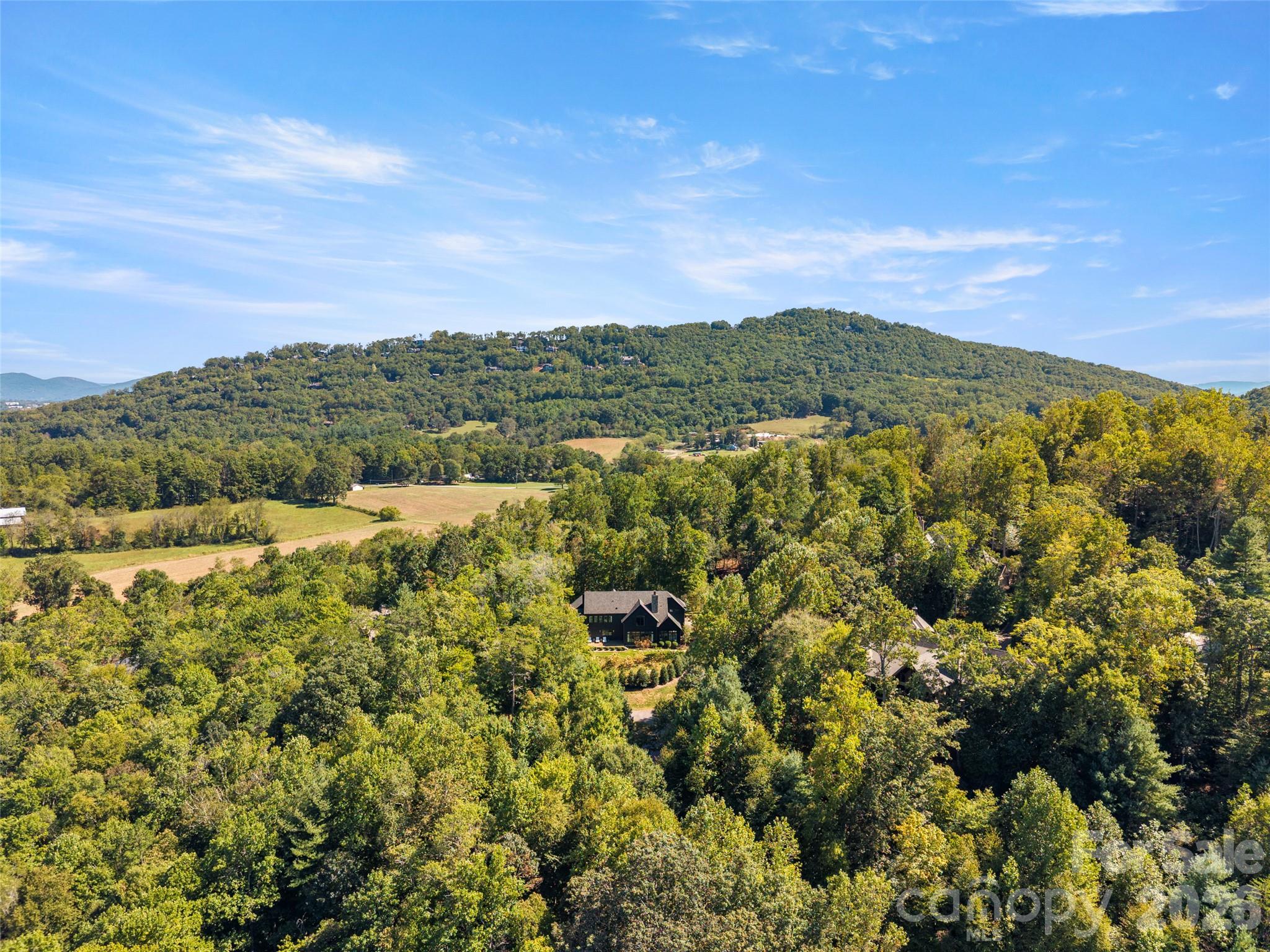 3 Bear Flower Trail Property Photo 43