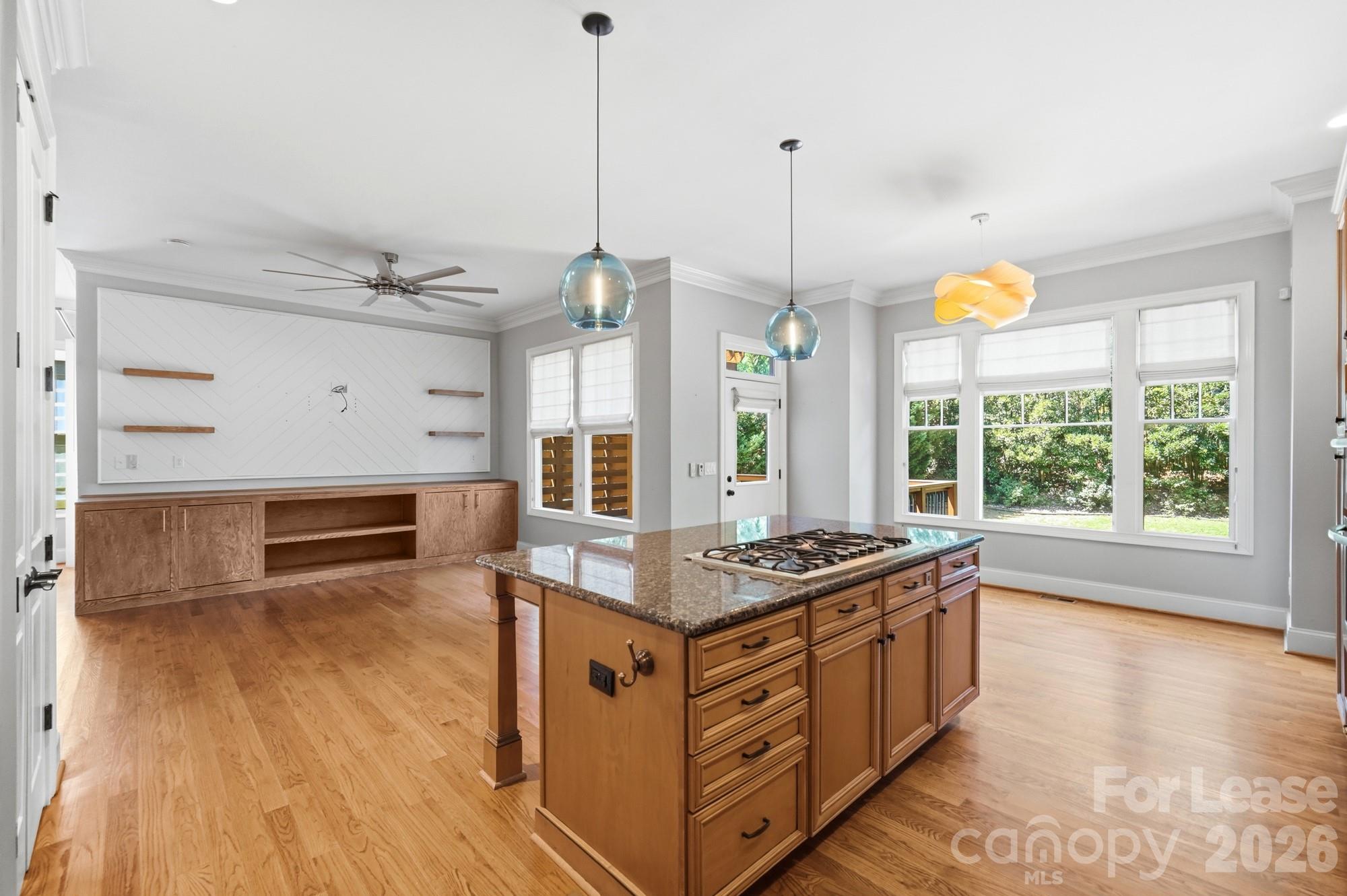 520 Iverson Way Property Photo 17