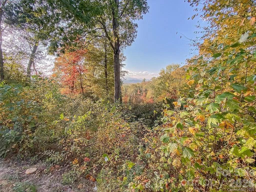 215 Crossvine Trail 11 Property Photo 1