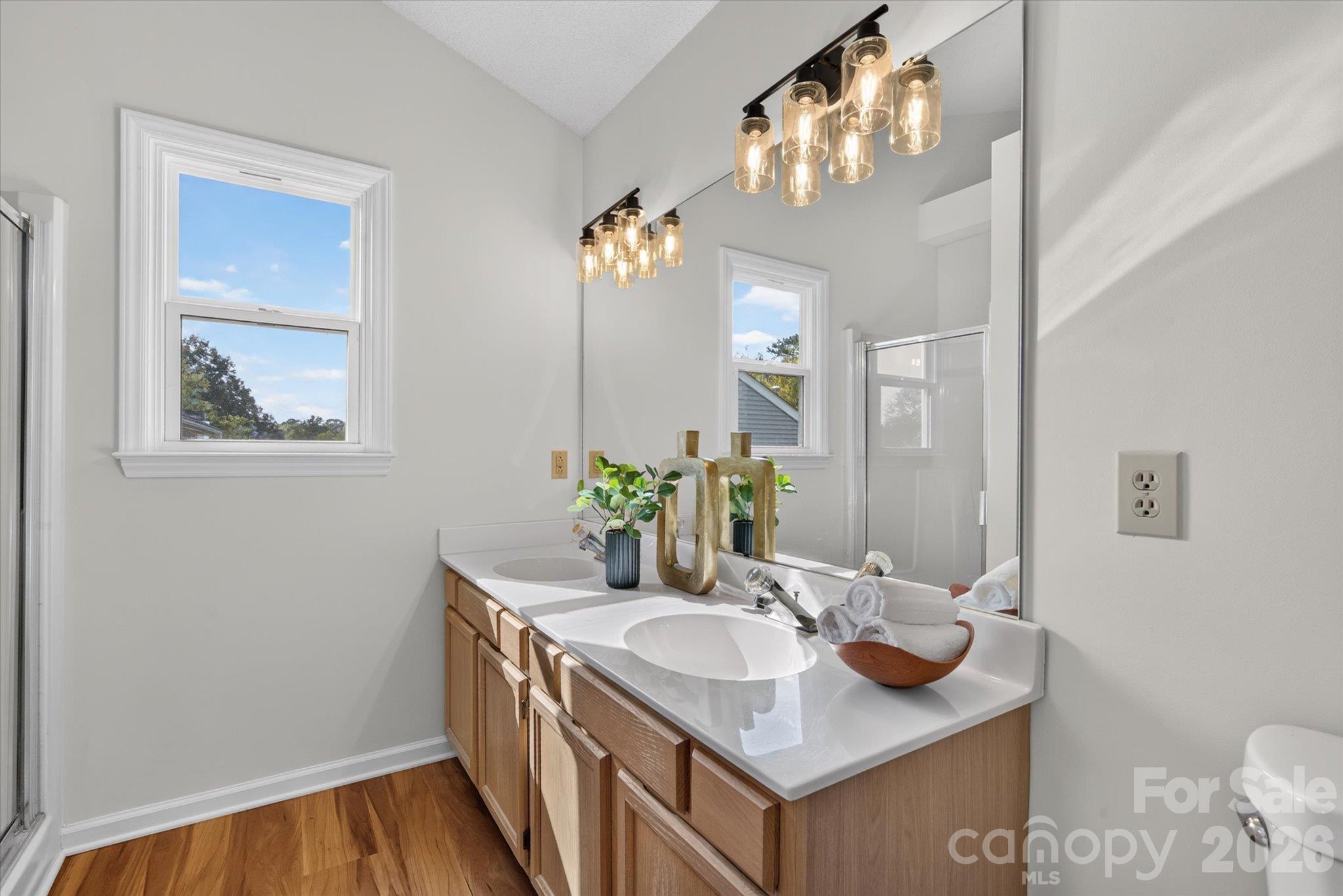 4509 Doves Nest Court Property Photo 20