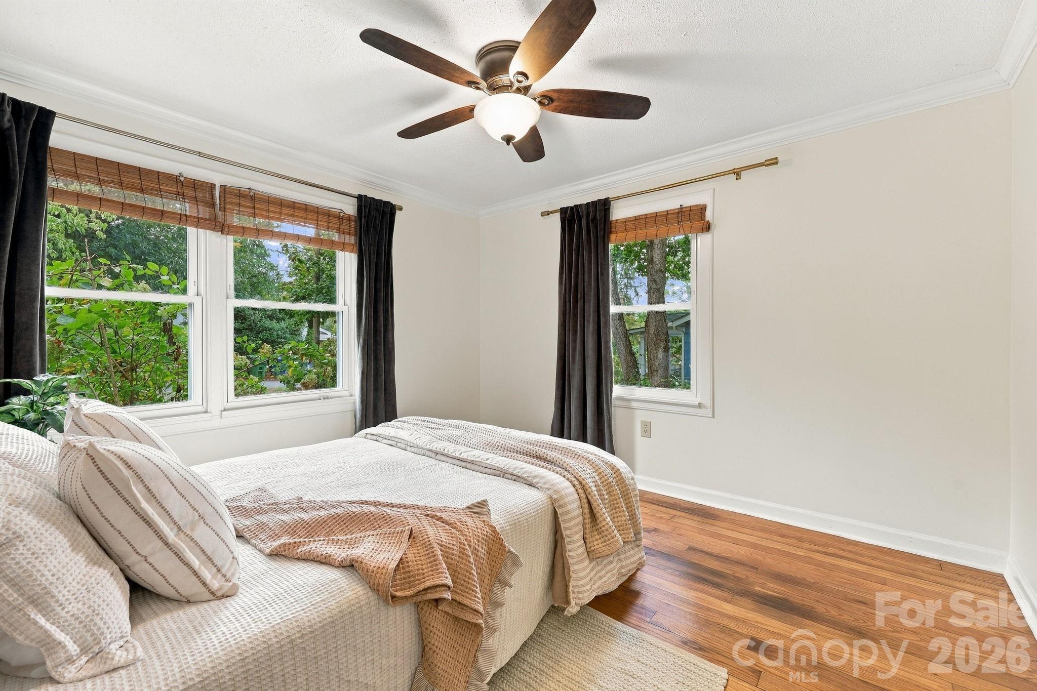 21 Balsam Avenue Property Photo 24