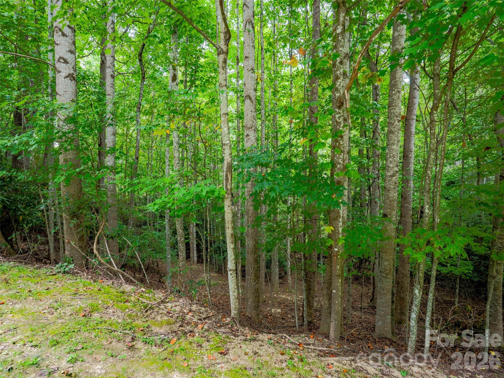 76 Old Hickory, Lot 152 Trail Property Photo 8