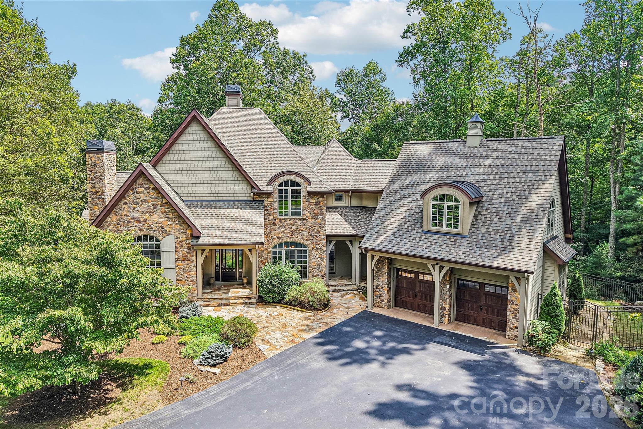 361 Mills River Way Property Photo 1