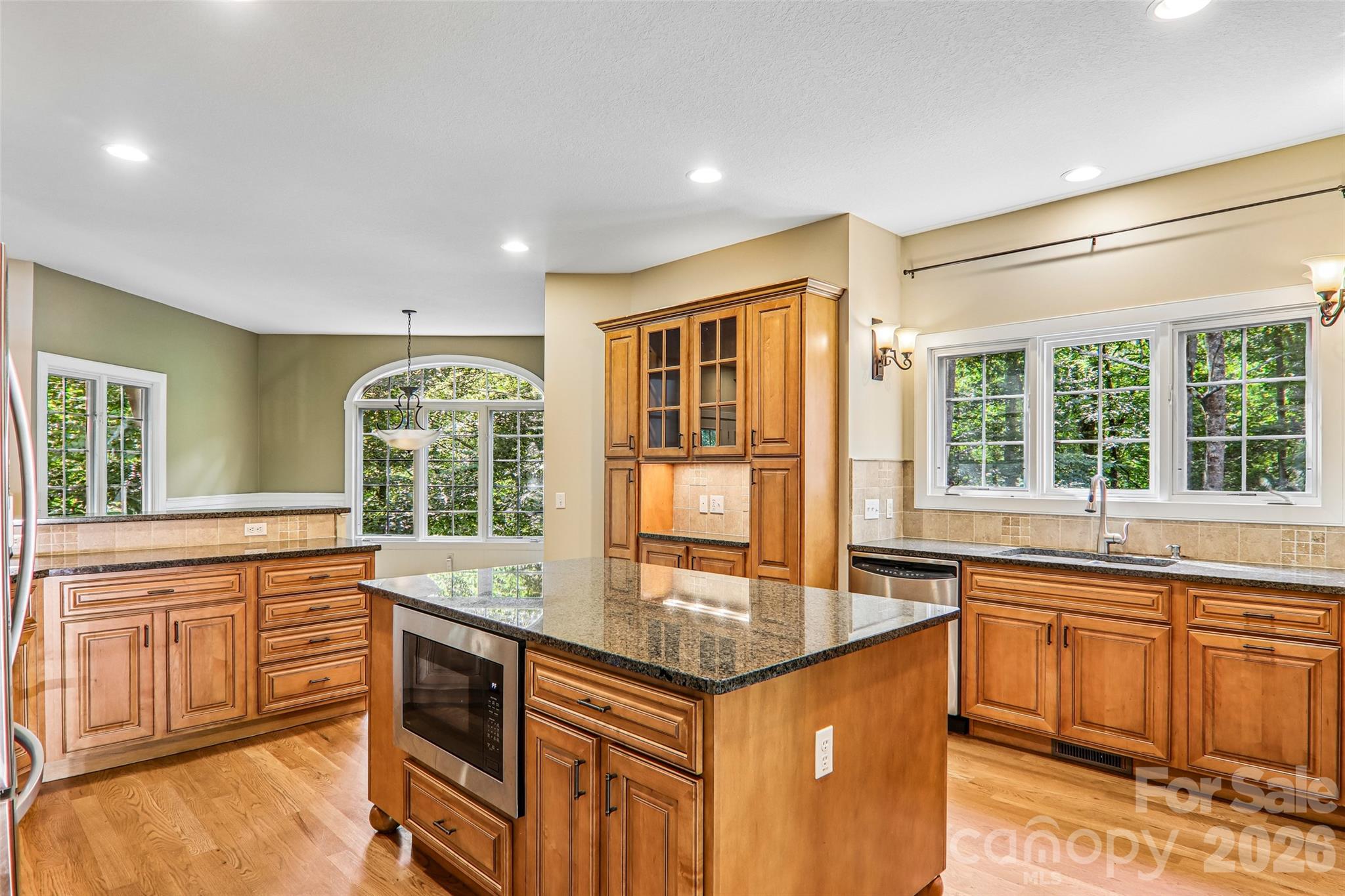 361 Mills River Way Property Photo 9