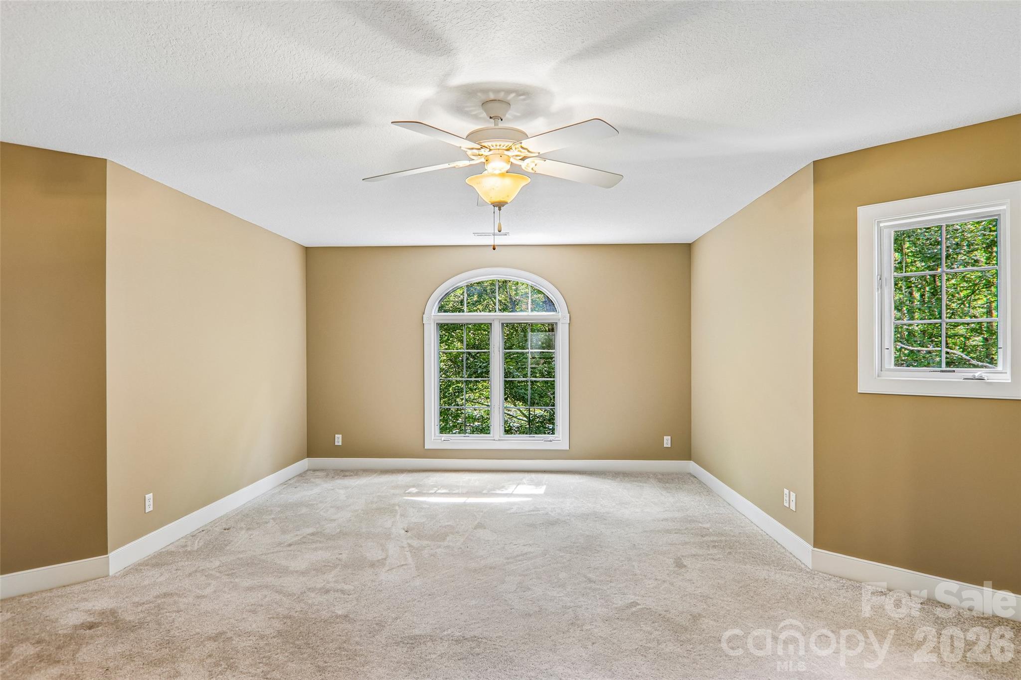 361 Mills River Way Property Photo 24