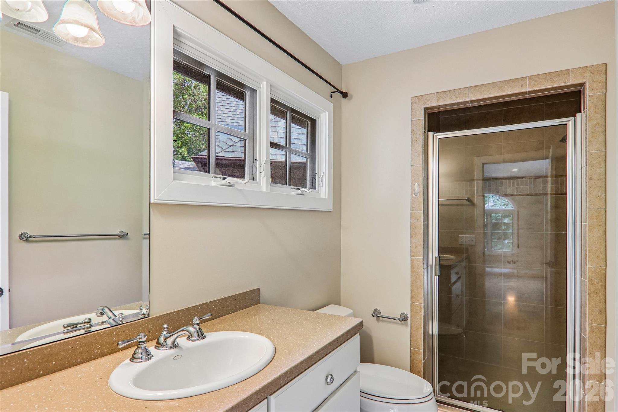 361 Mills River Way Property Photo 29