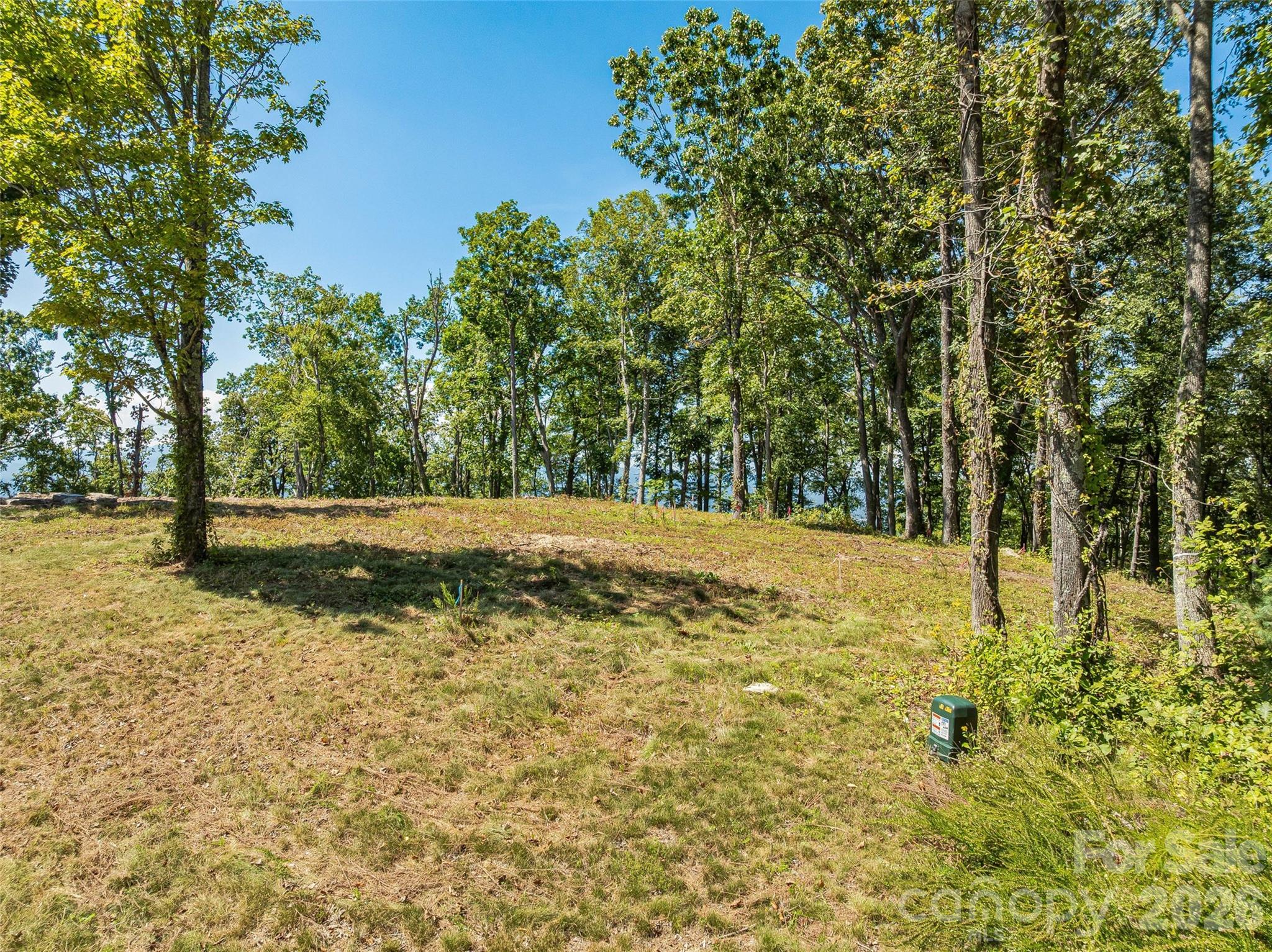 Lot 42 Haven View Trail Property Photo 2