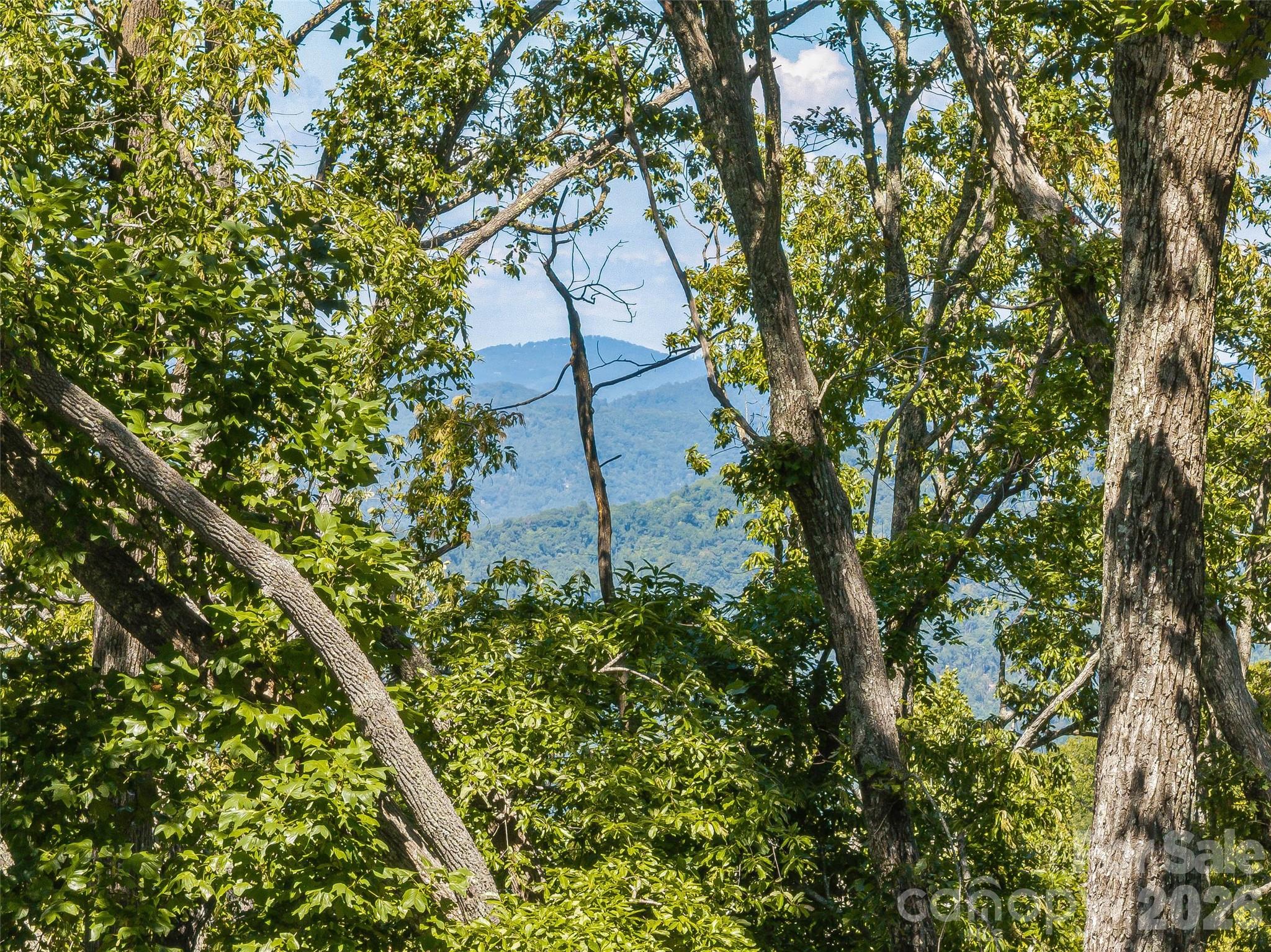 Lot 42 Haven View Trail Property Photo 7